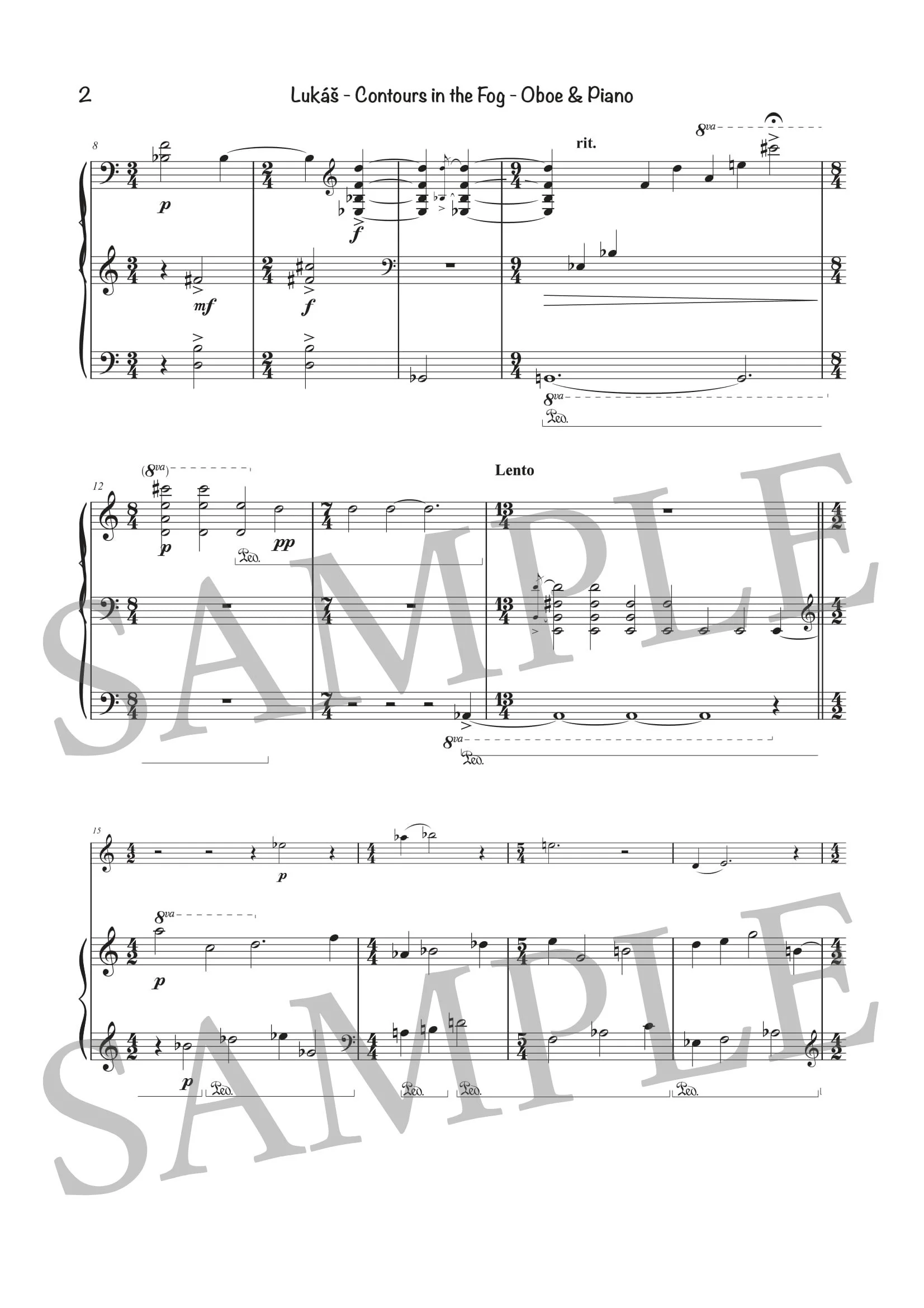 LUKÁŠ - CONTOURS - SCORE SAMPLE-2.jpg