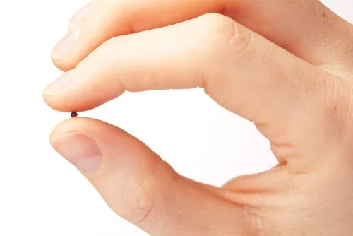 Faithful in the Small Things