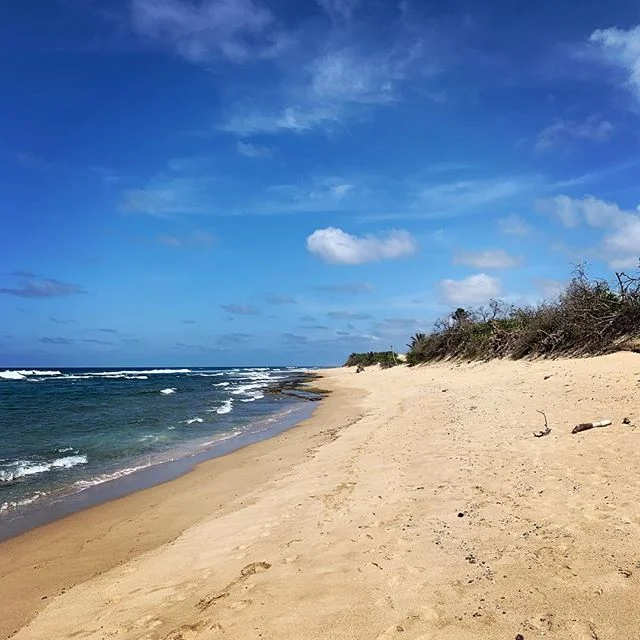 Livin that vida loca 😎