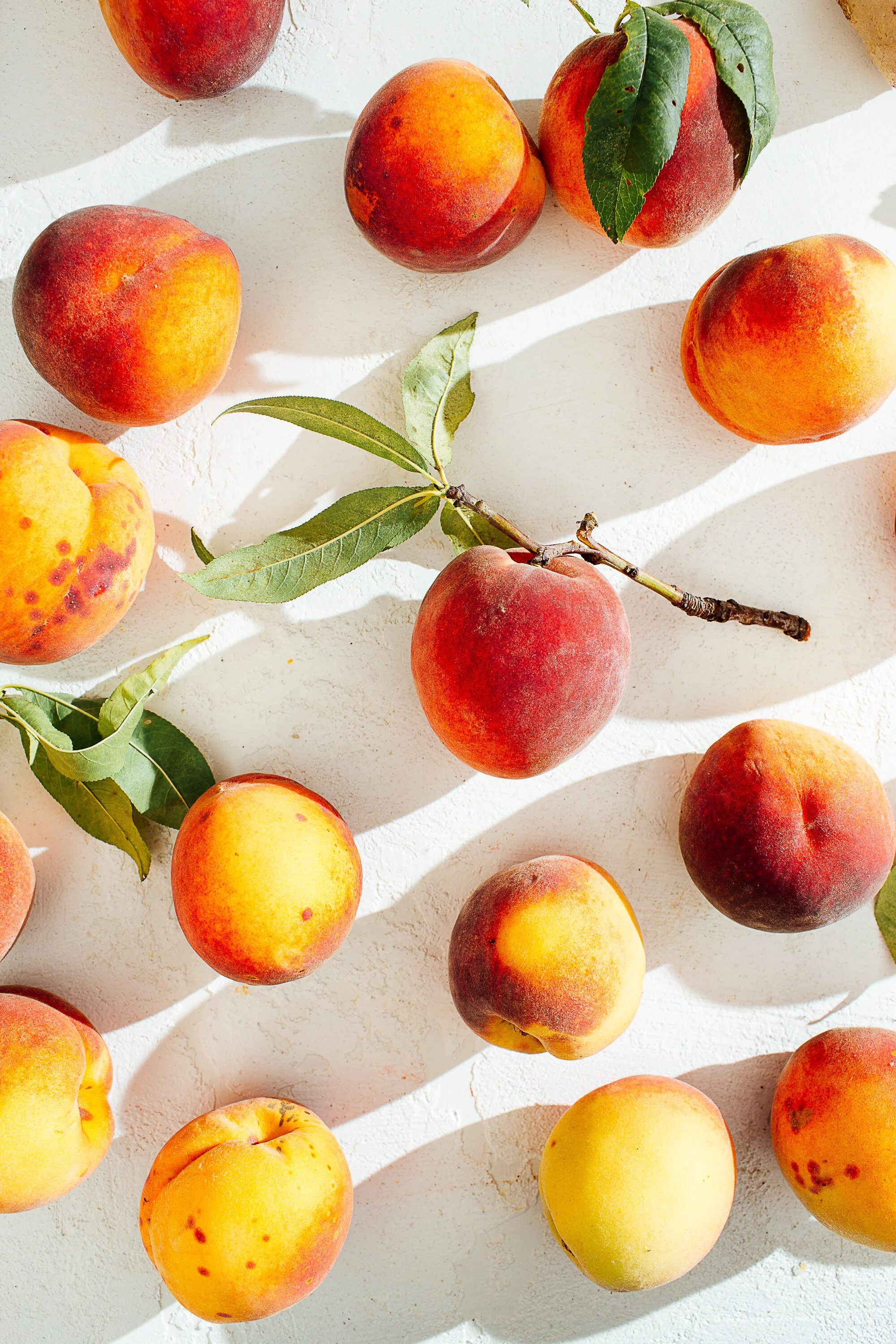 Peaches To Print0012019-4.jpg