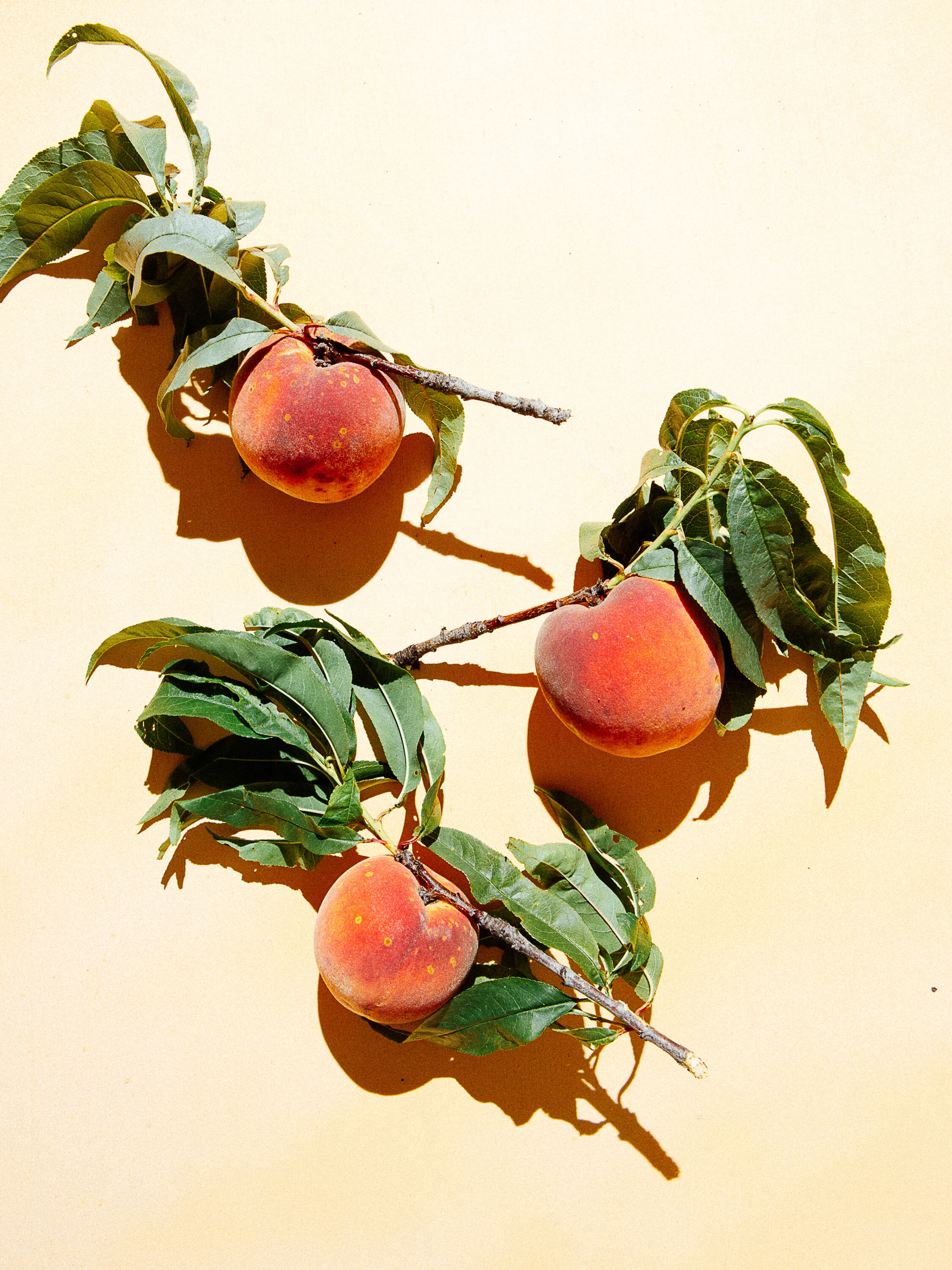 Peaches To Print0012019-3.jpg