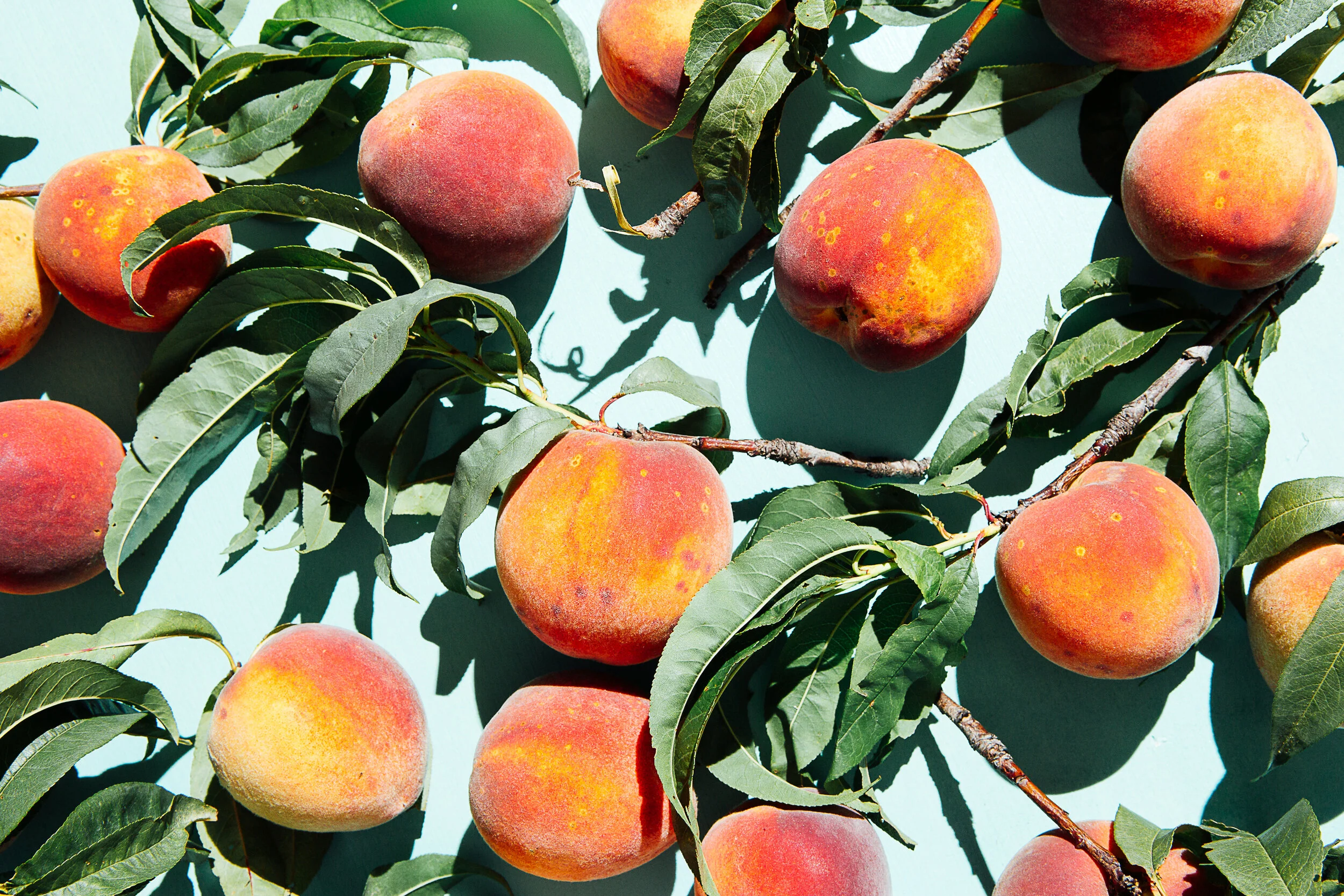 Peaches To Print0012019-2.jpg