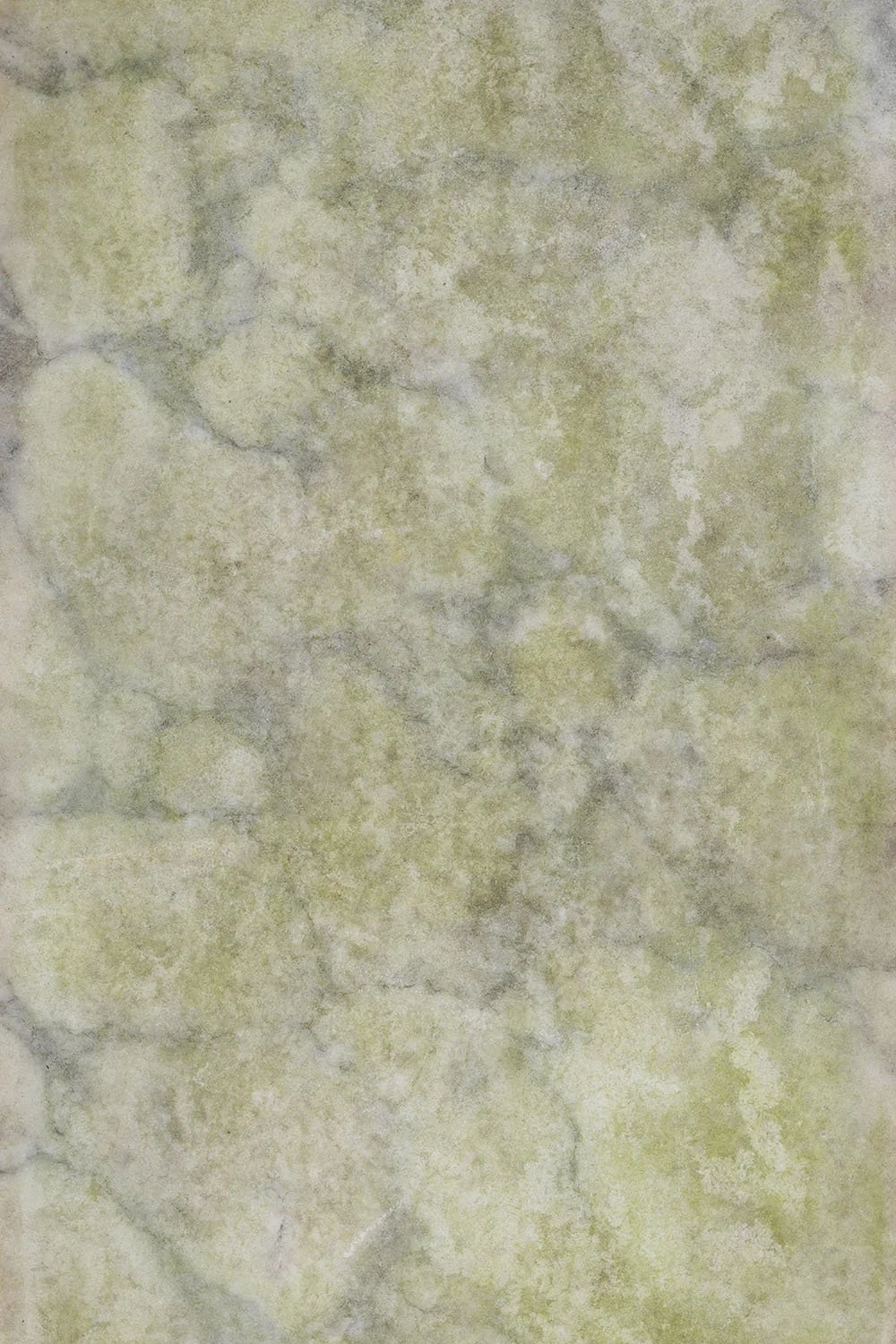 green-photo-background-plain.jpg