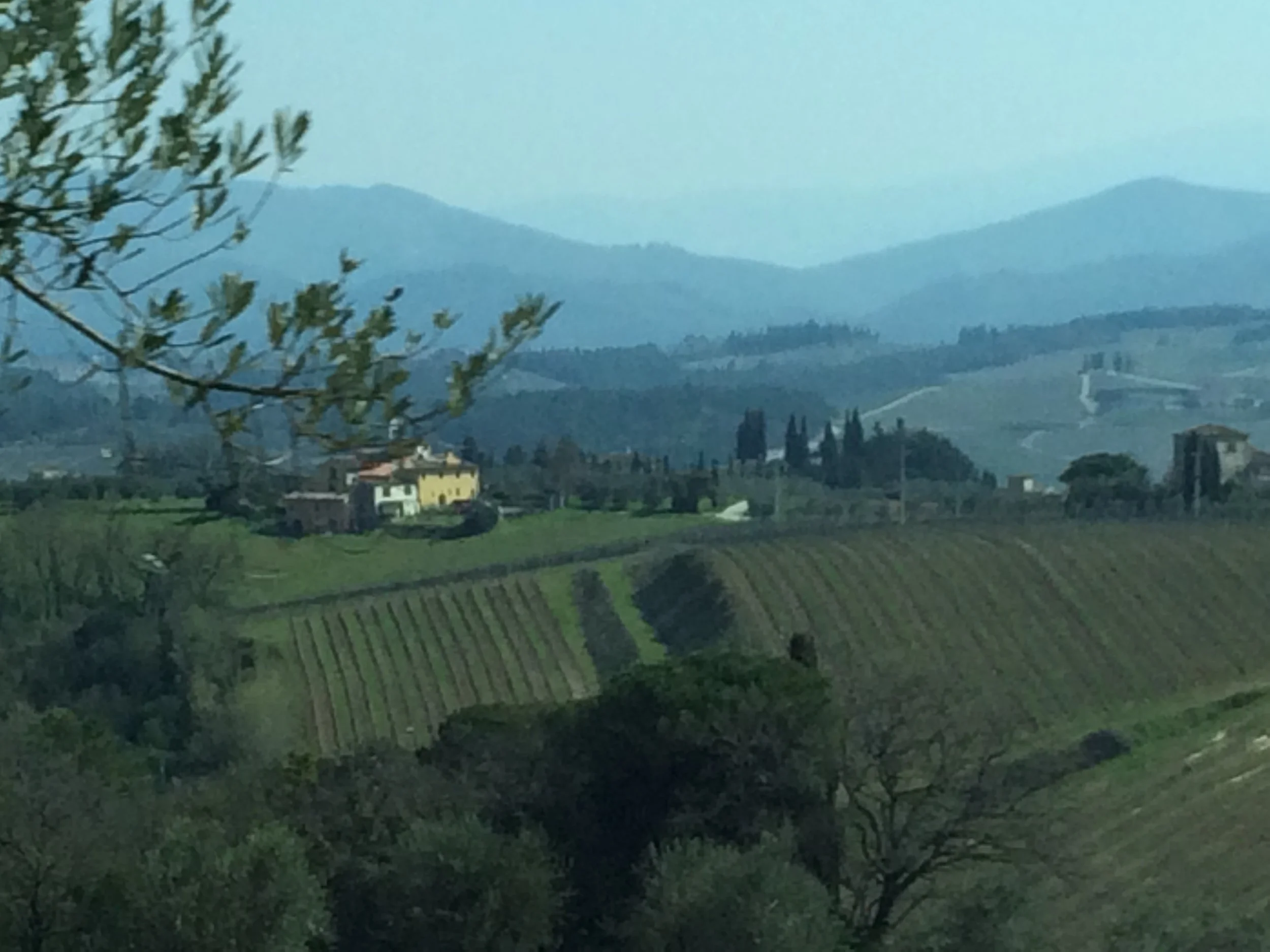 Wine, History & Splendor in Tuscany & Rome