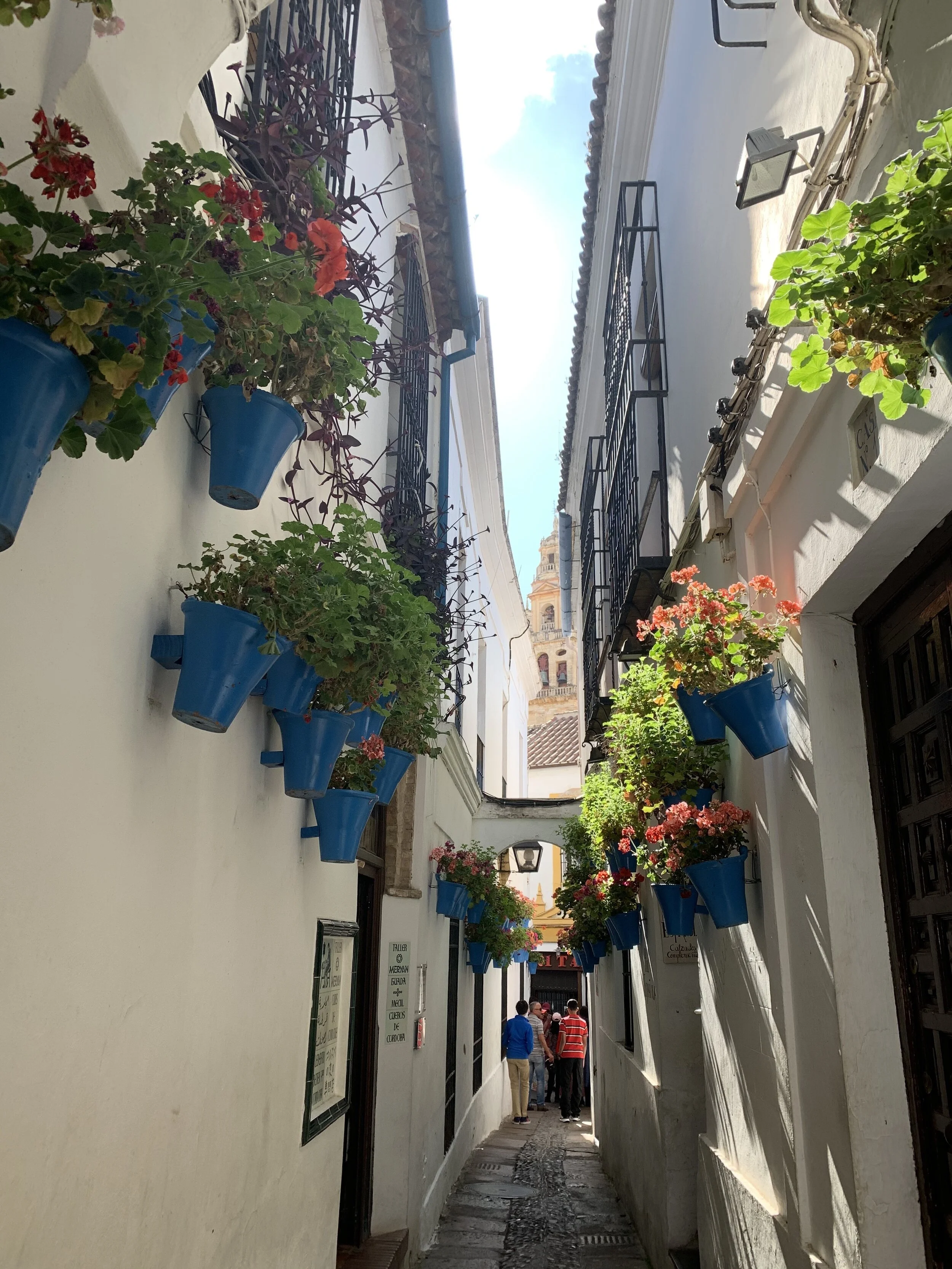 Córdoba - A Mesh of Color and Cultures