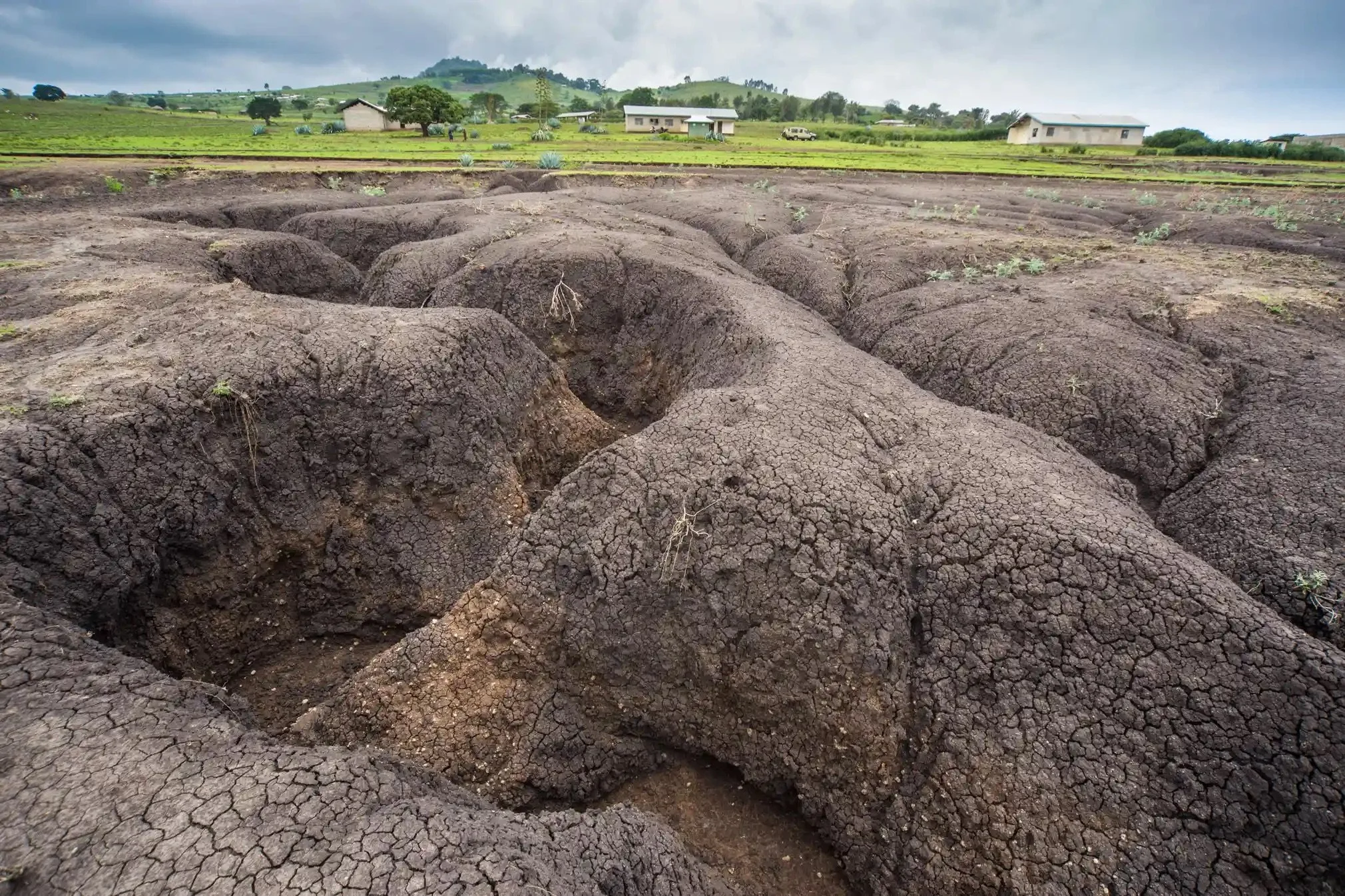 Simanjiro, Tanzania 2024 — Paint the Globe Foundation