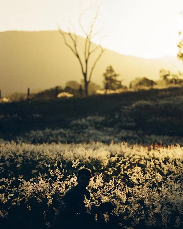 @maxfranny deep in golden hour