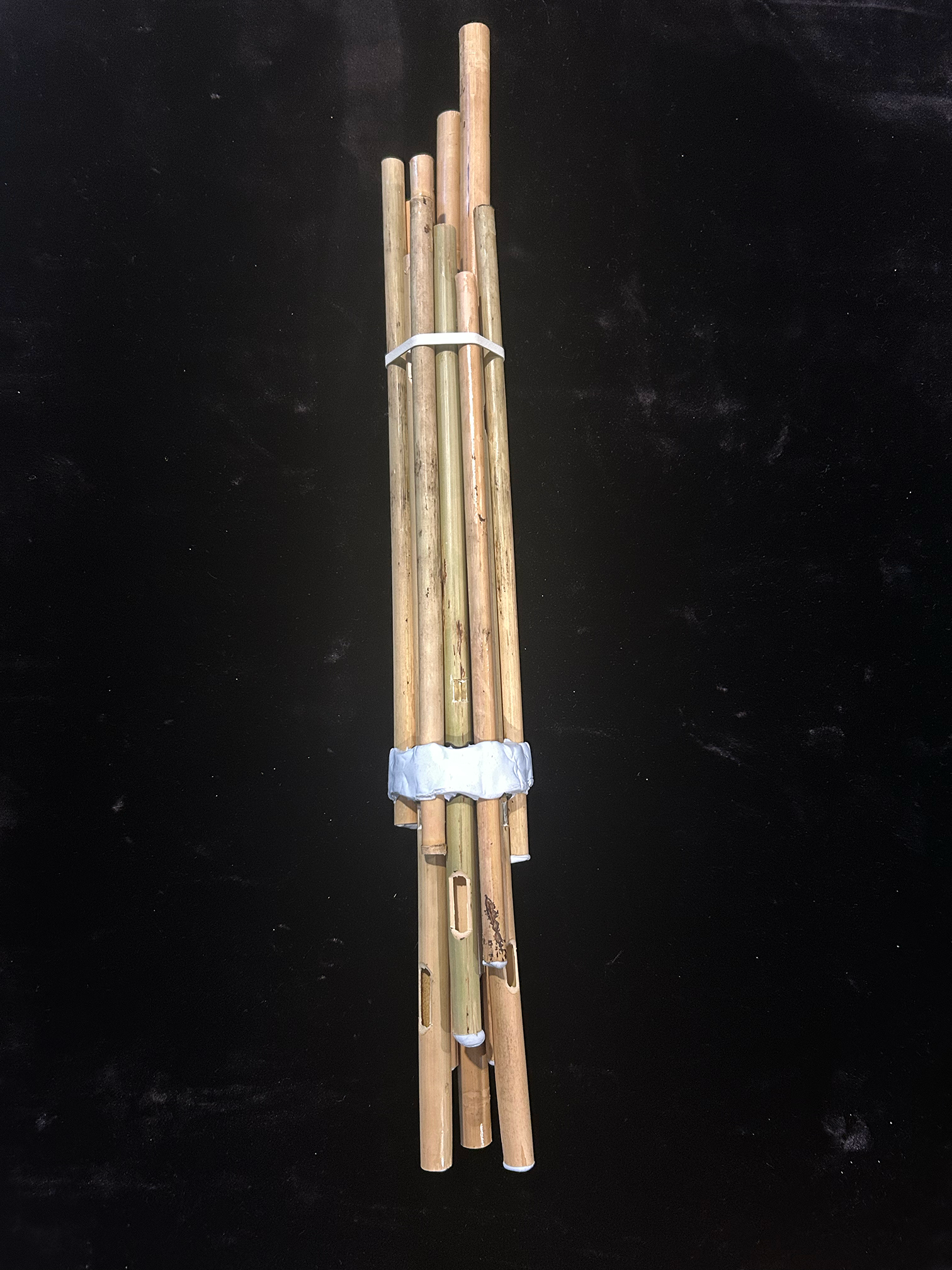 Bamboo marine harp pipes clump.png