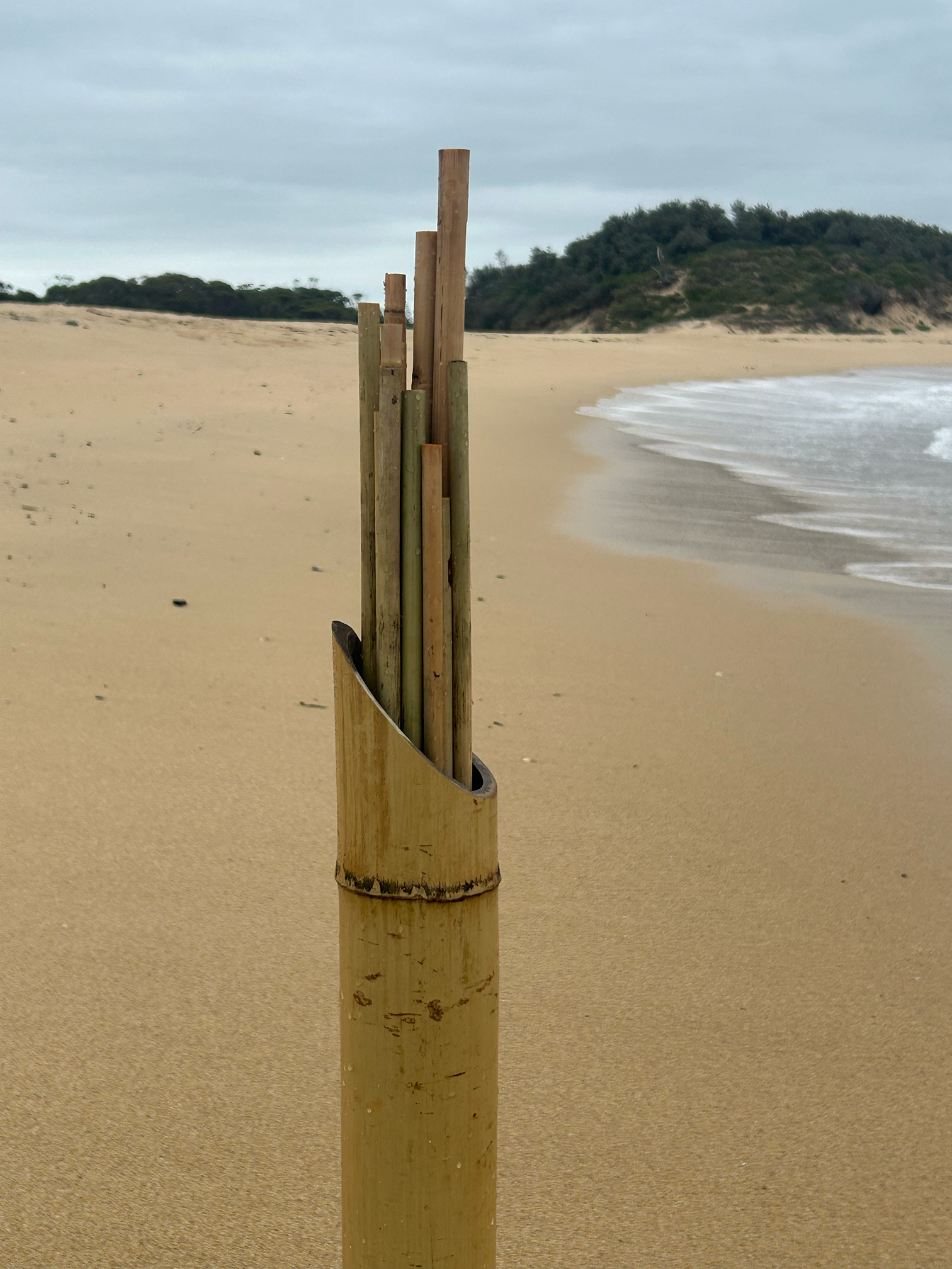 bamboo marine harp cuddy 1.png