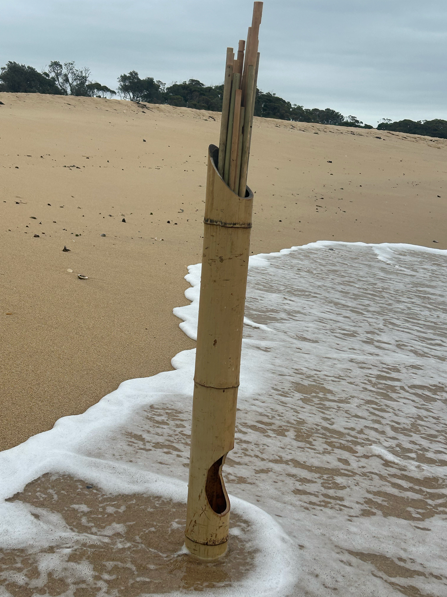 bamboo marine harp cuddy 3.png