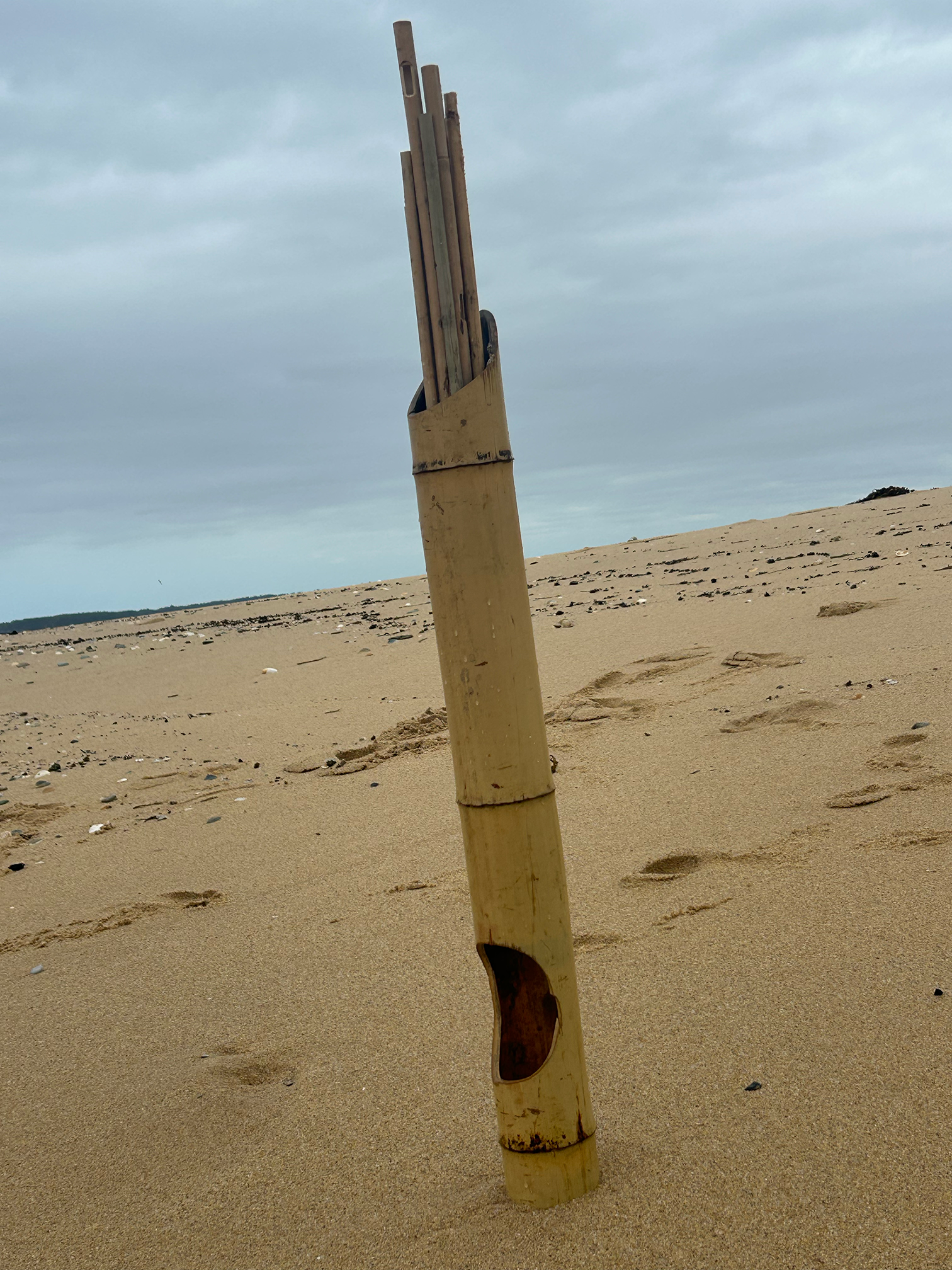 bamboo marine harp cuddy 6.png