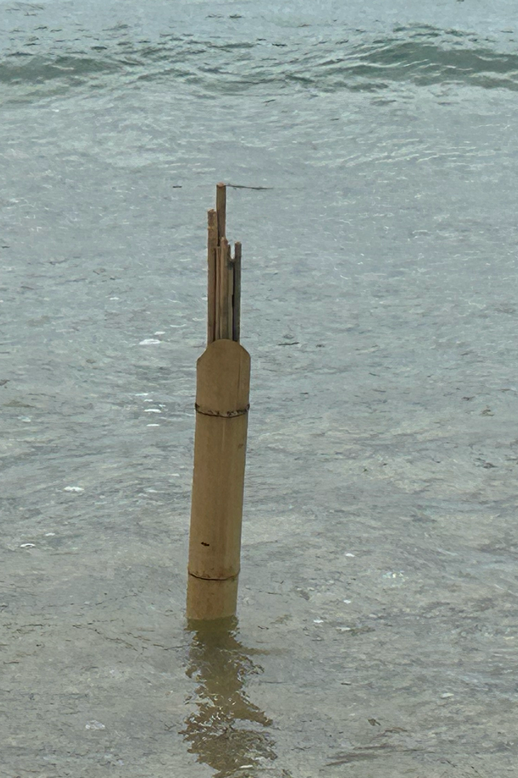 bamboo marine harp cuddy 8 portrait.png