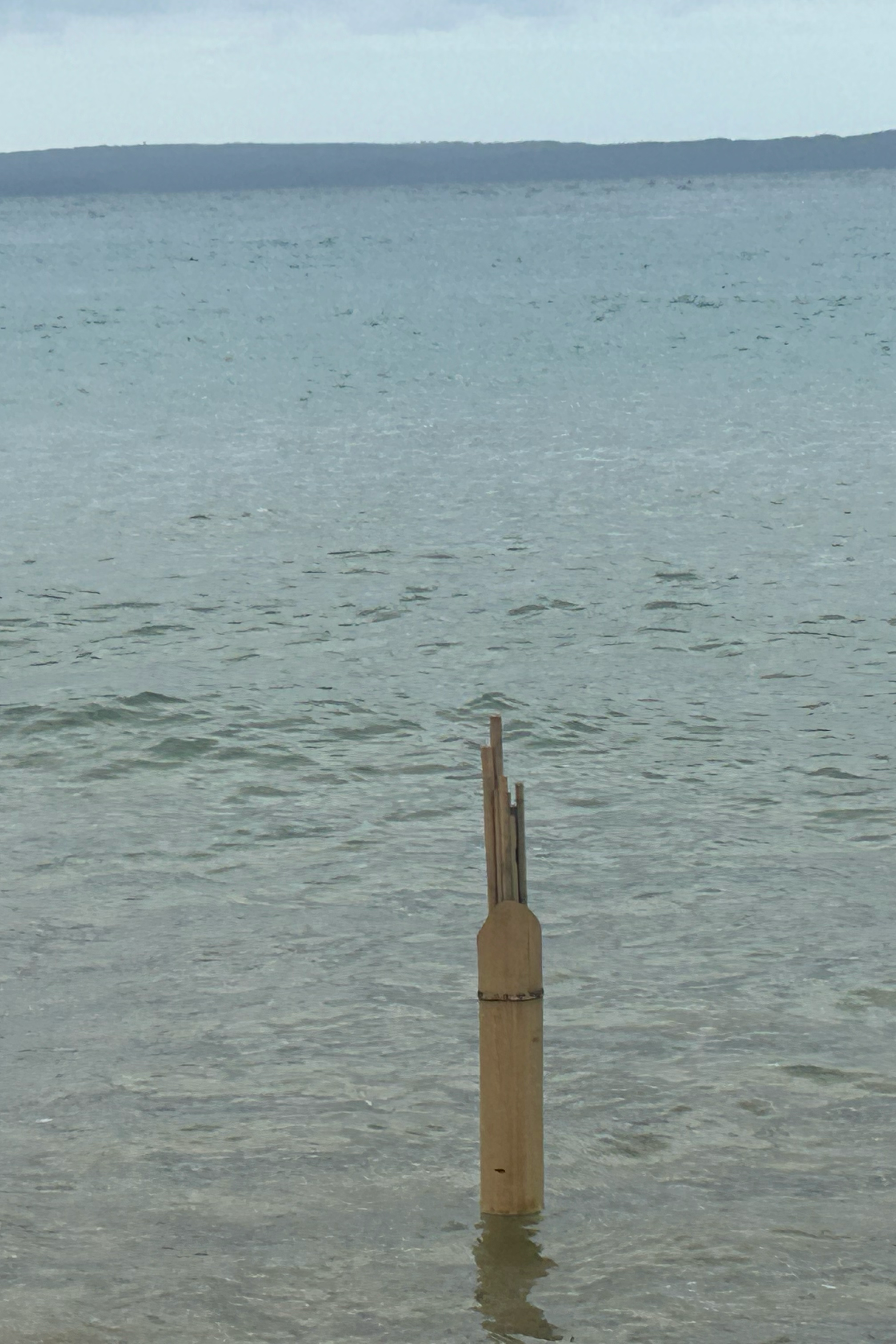 bamboo marine harp cuddy 12 portrait.png