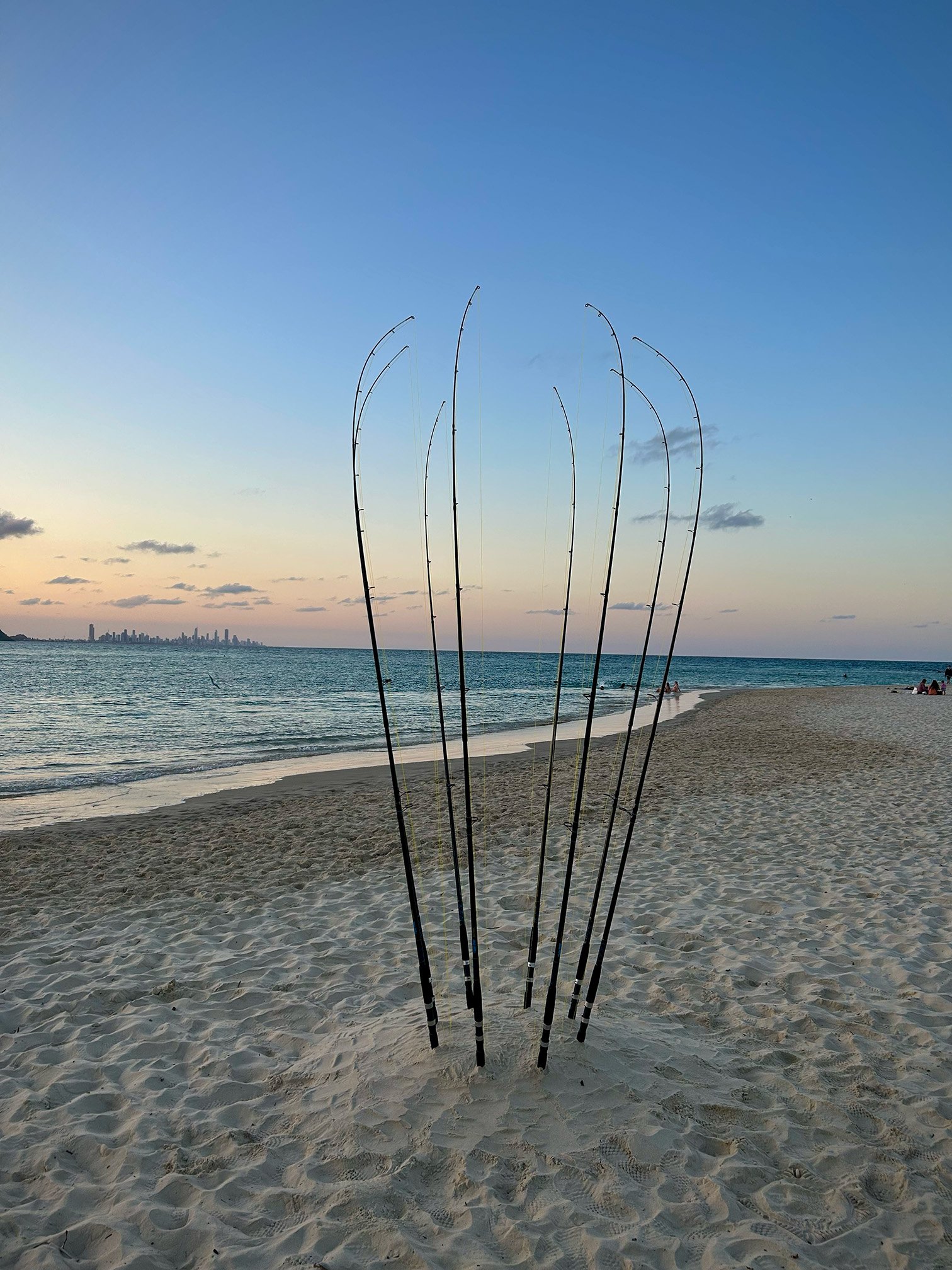 SWELL Marine Harp 4.jpg