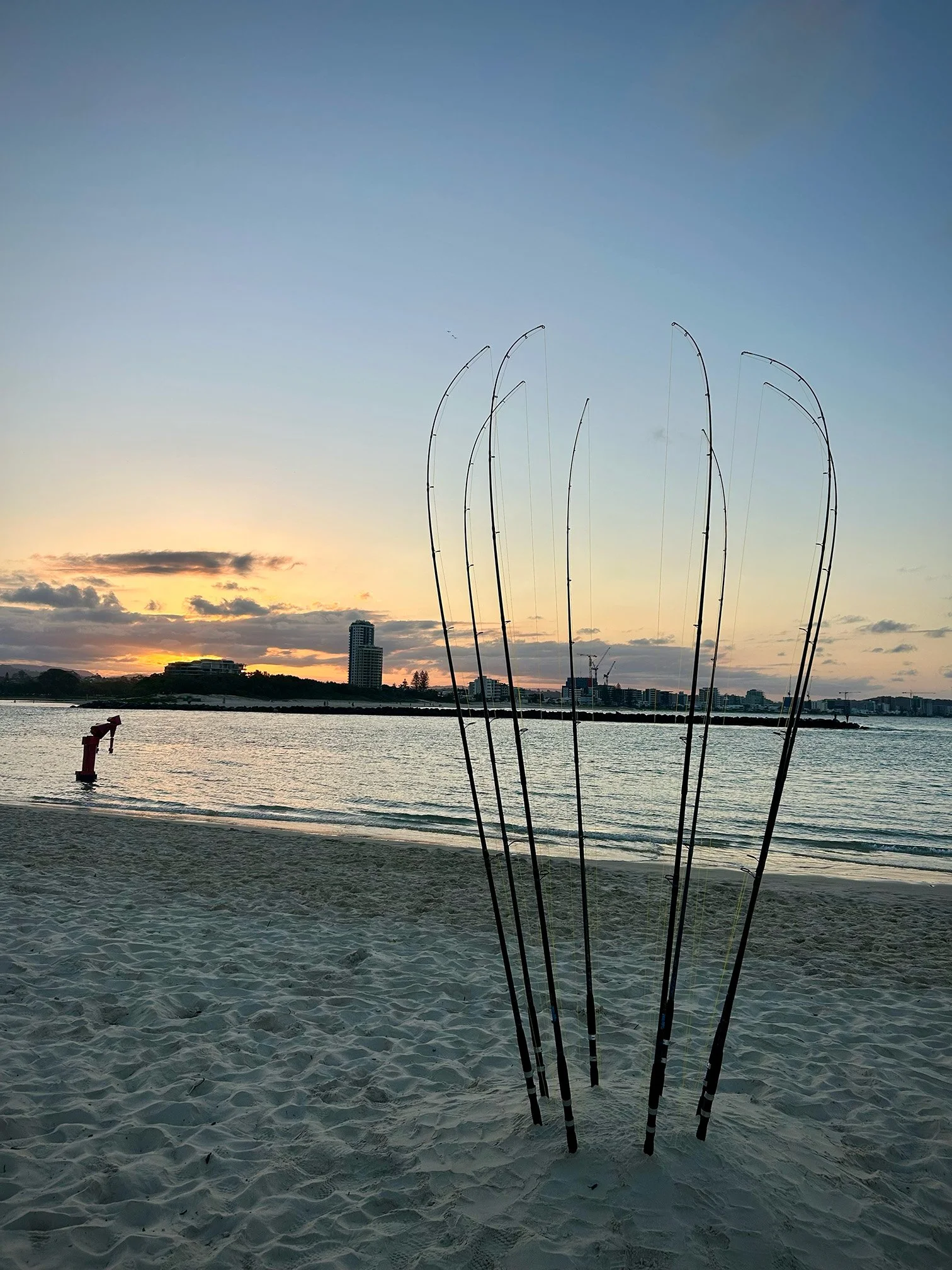 SWELL Marine Harp 5.jpg