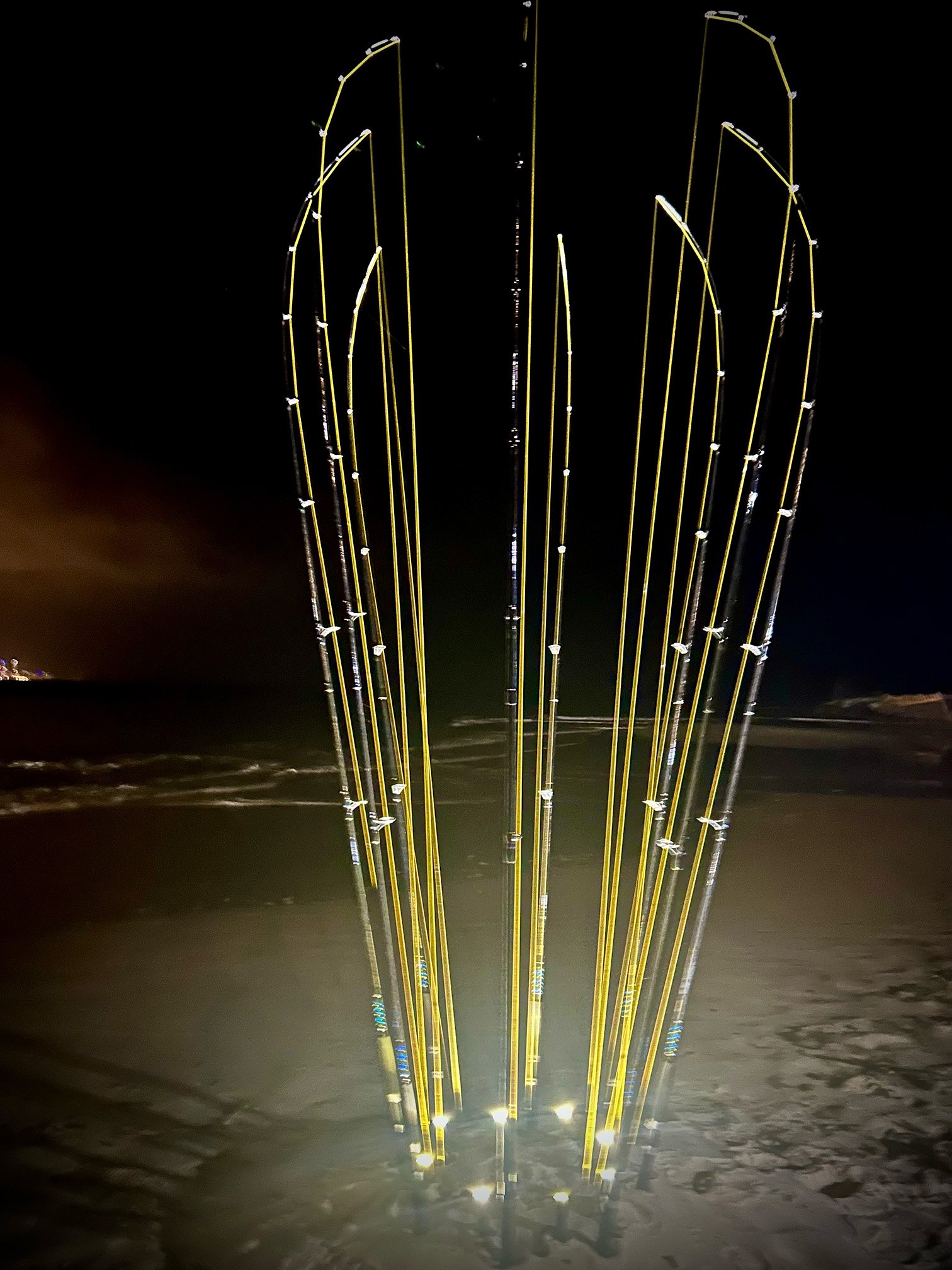 SWELL Maring Harp 6.jpg