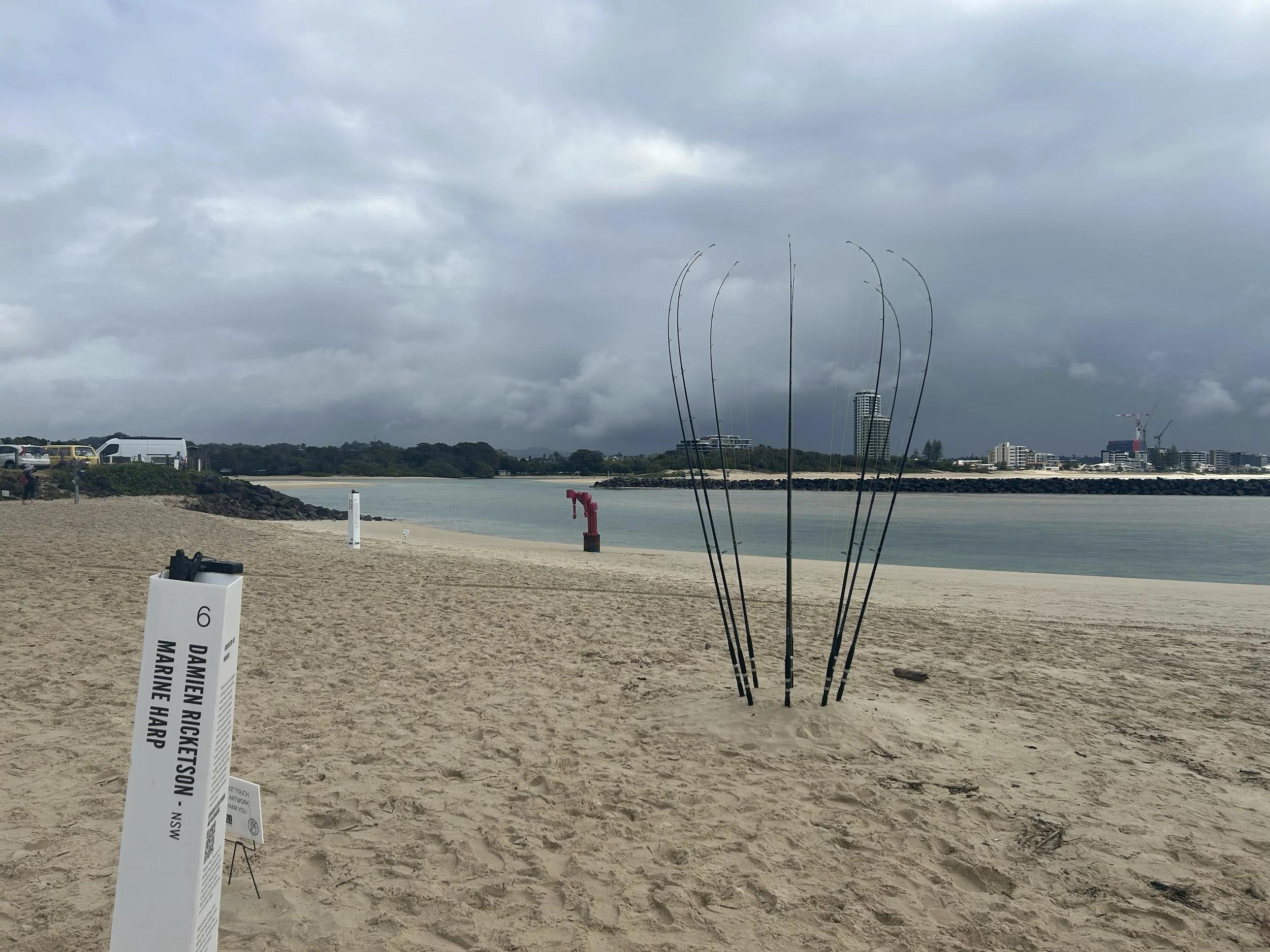 SWELL Marine Harp 13.jpg