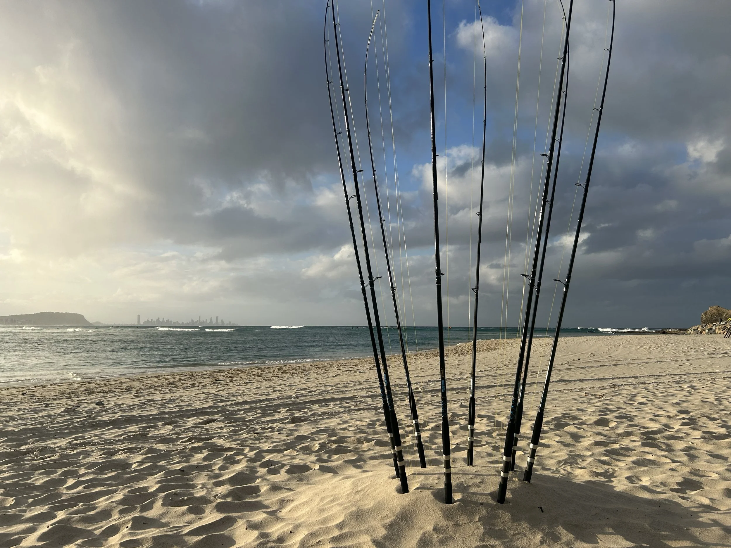 SWELL Marine Harp 11.jpg