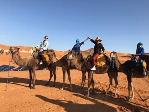 It turns out the camels you ride there are one-hump, not of the two-humped variety.