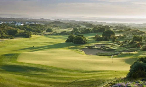 St Francis Links