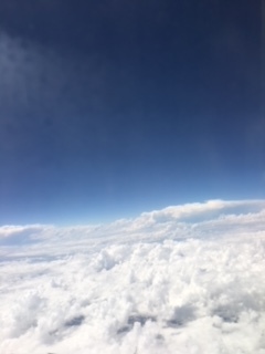 image1.jpeg