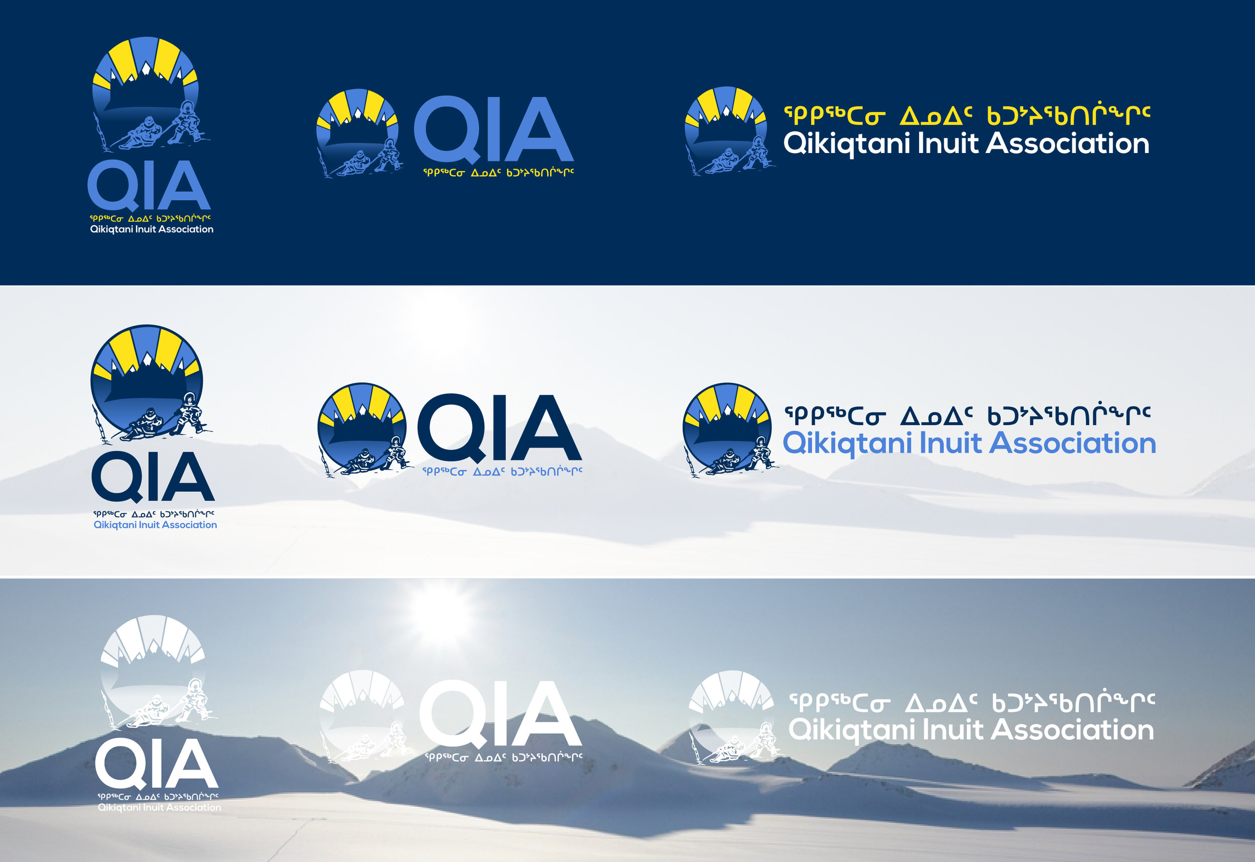 QIA_LOGO_Examples.jpg