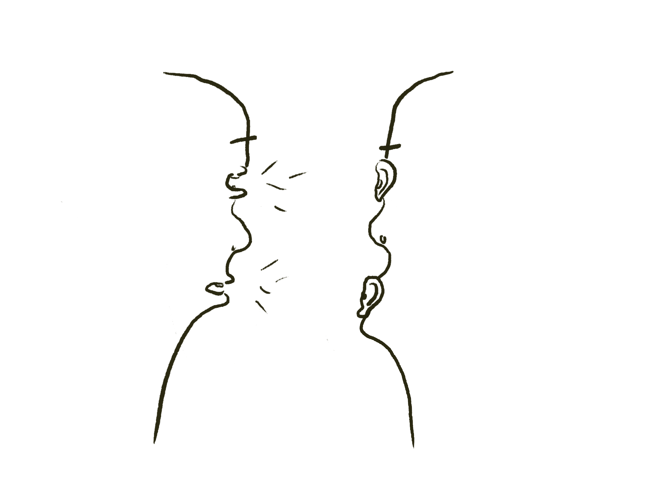 unnamed (6).png