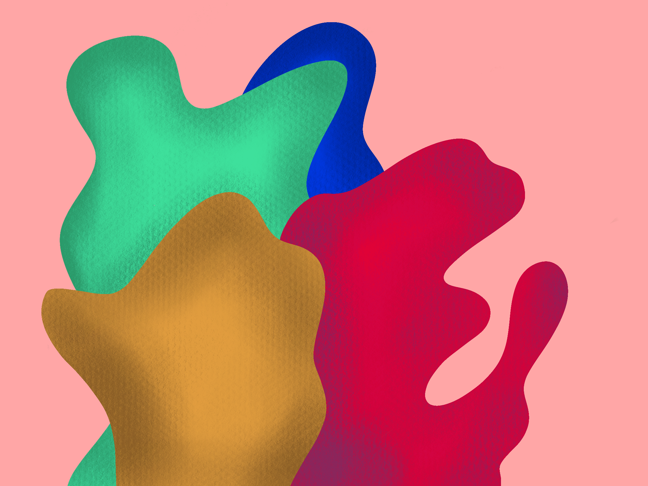 unnamed (13).png