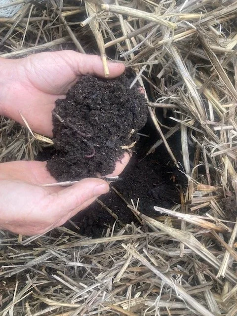 Soil with worms.jpg