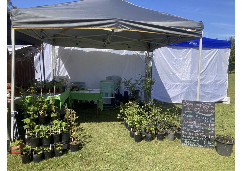 Stall photo.jpg