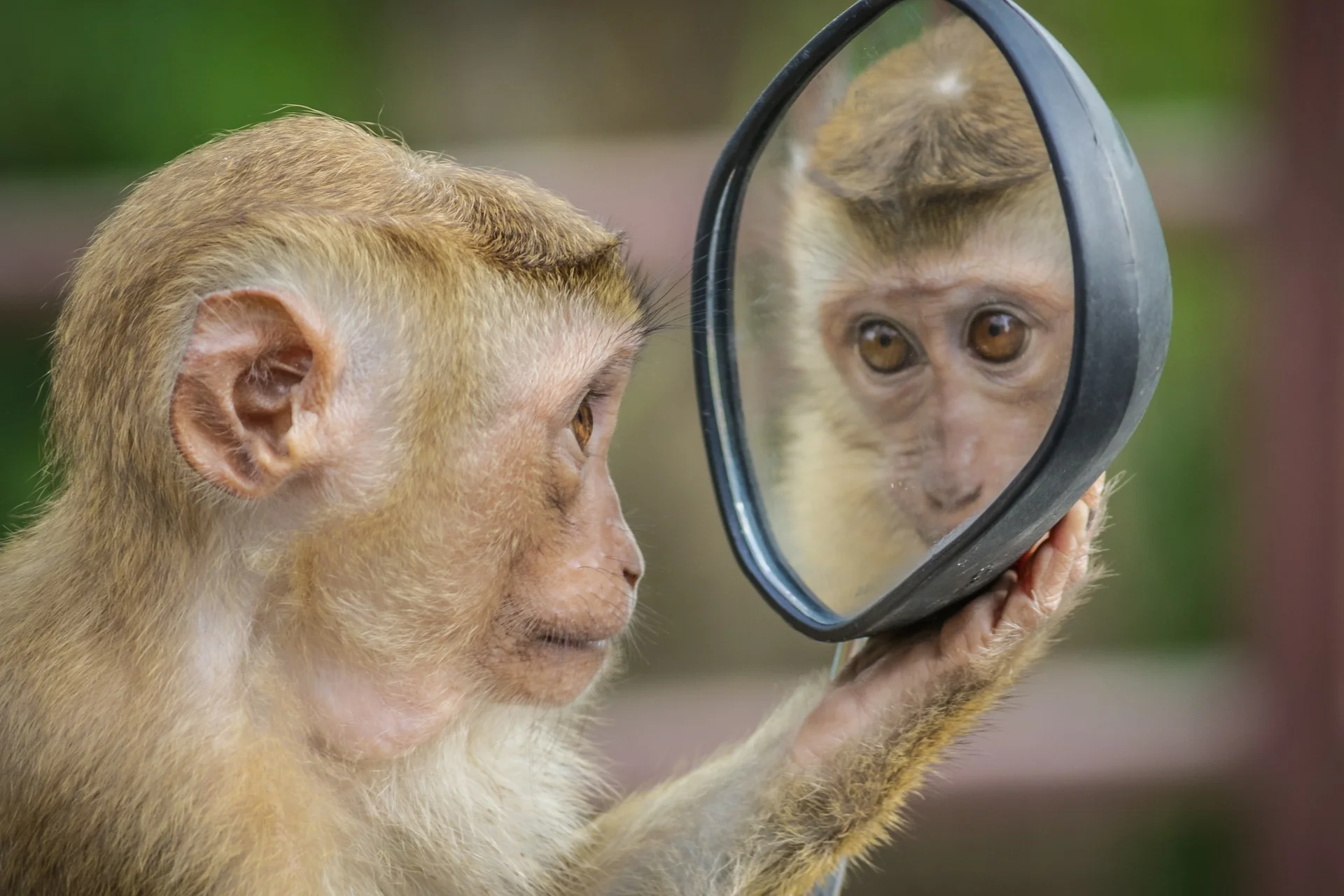 Please don't have your character gaze into a mirror and tell us how hot/lacking they are. Please. 🙏