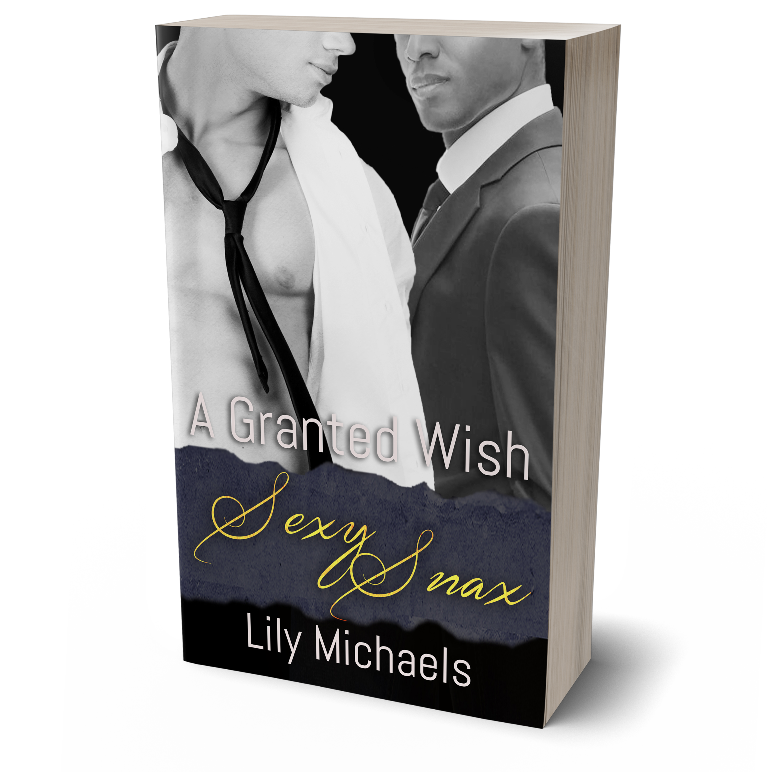 "A Granted Wish," by Lily Michaels