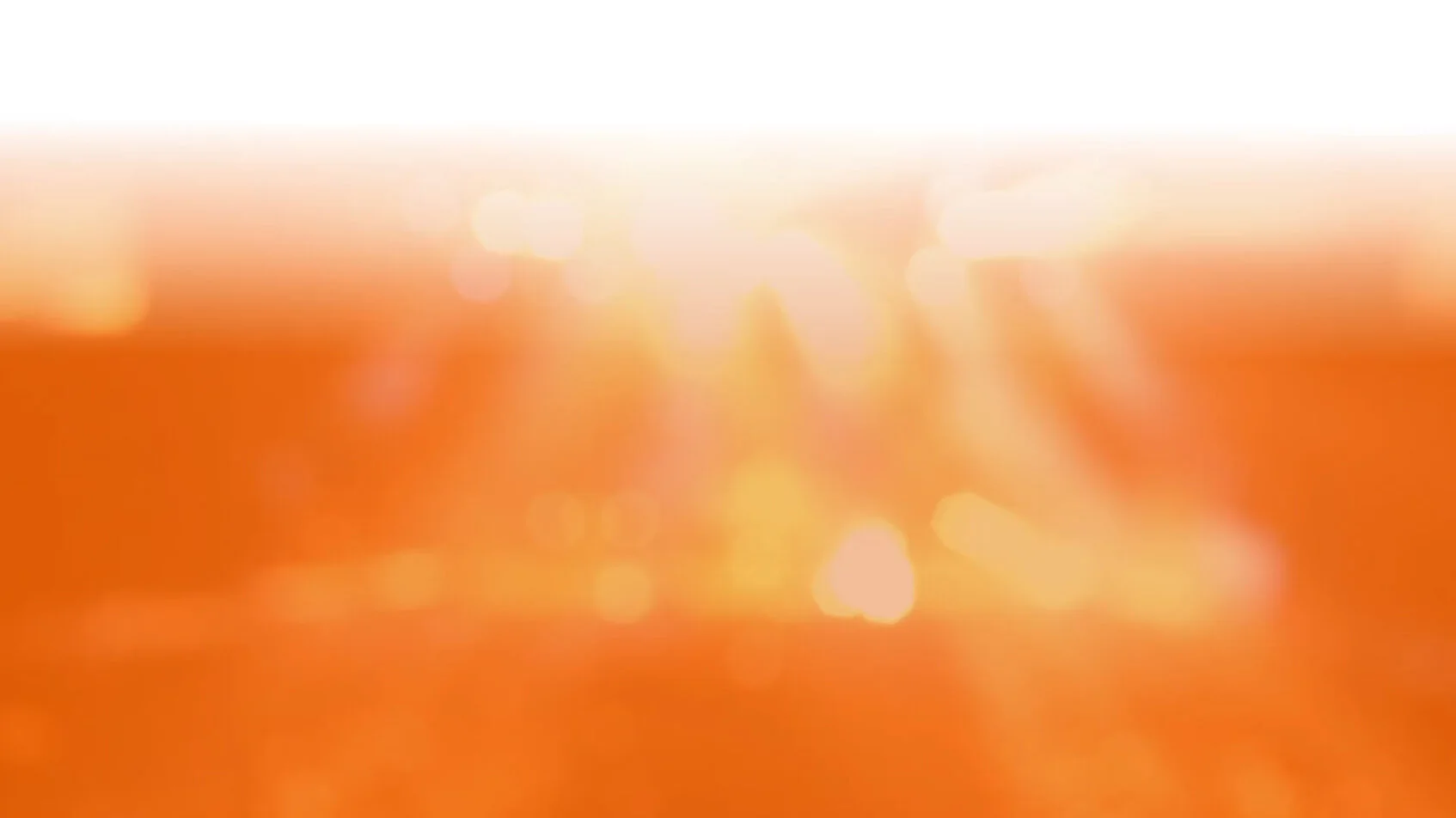 homepage_background.jpg