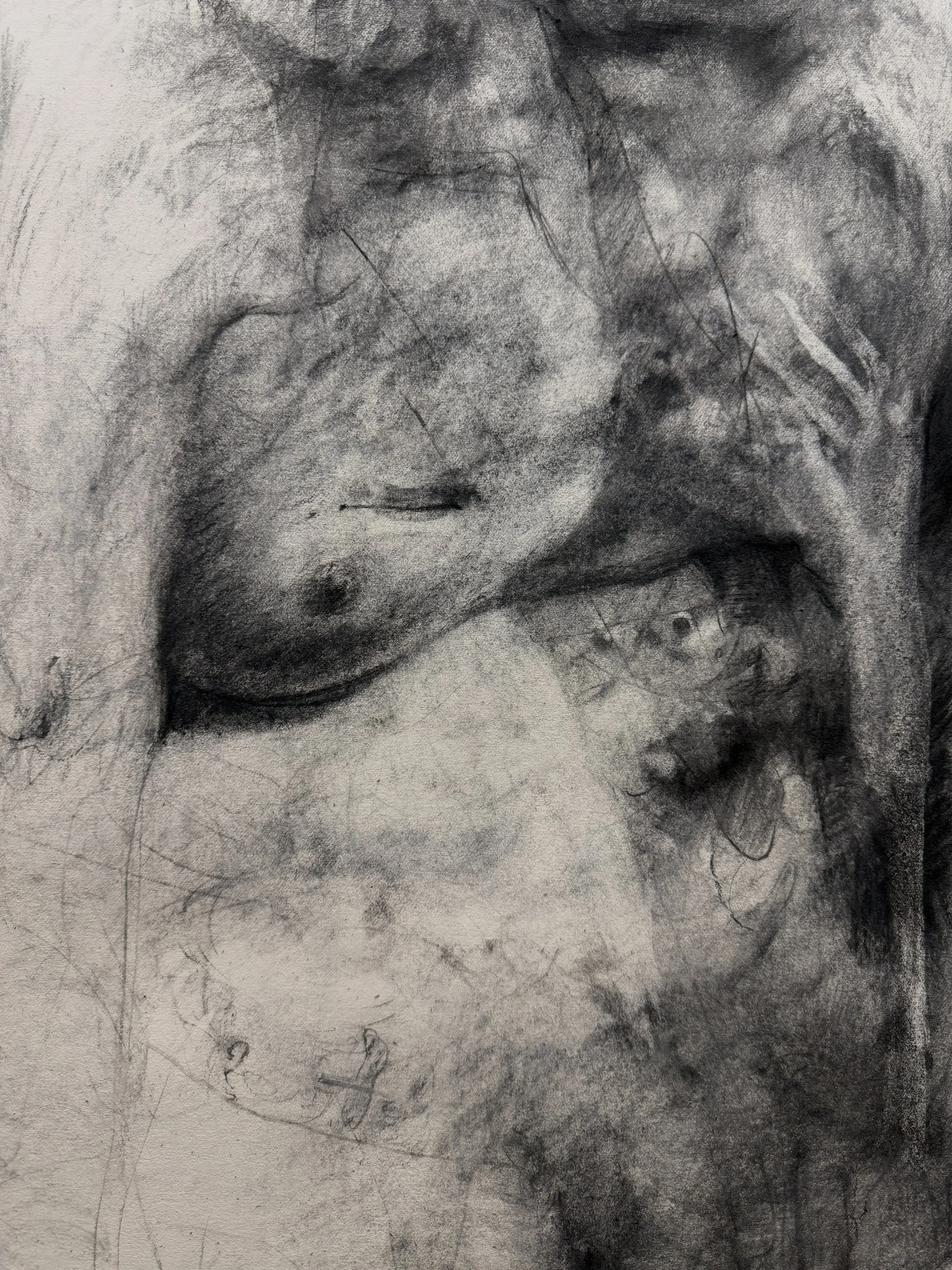 @-@  d e t a i l 
.
p a r a - b a r o q u e
.
n o t e s f r o m t h e a n t h r o p o c e n e
.
#anthropocene #parabaroque #drawing #marioabela
#victoriagozo