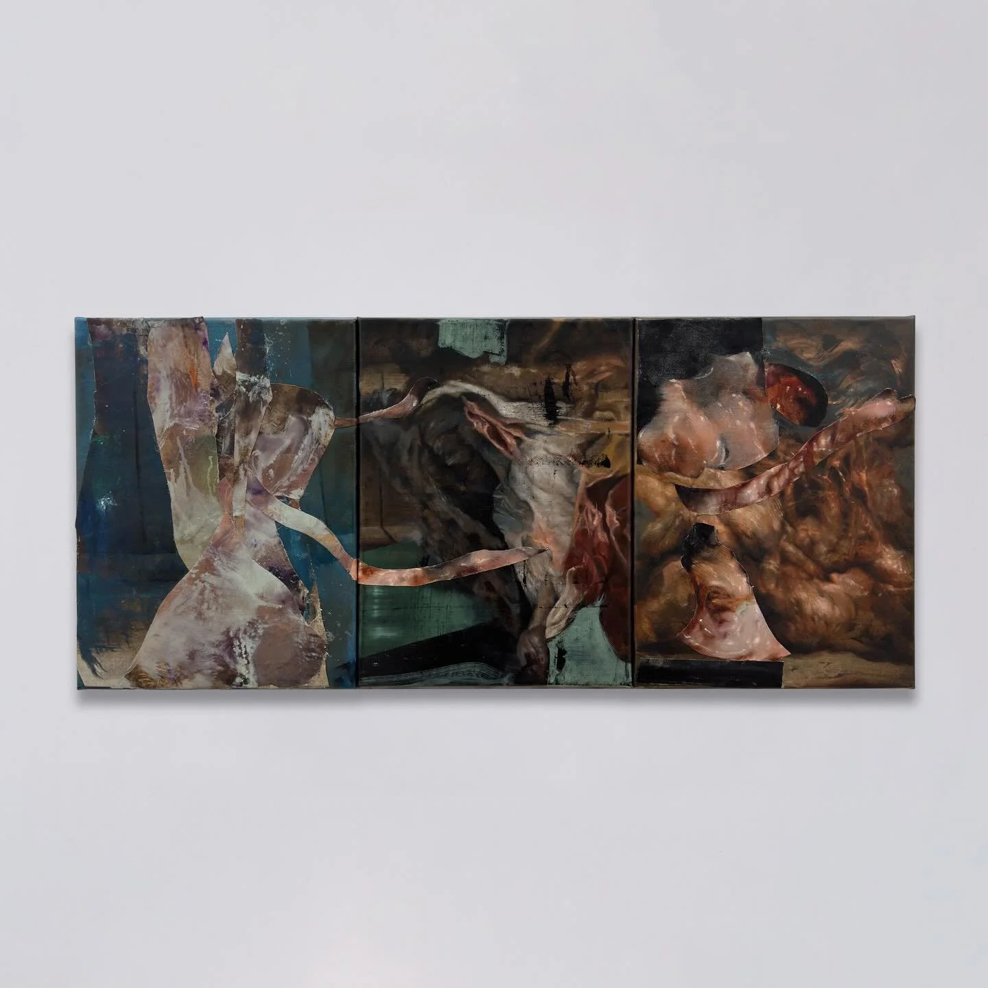 I&rsquo;m drawn to unstable images
@conversations_with_artists 
.
Oil on canvas assemblage - 2026
.
n o t e s f r o m t h e a n t h r o p o c e n e
.
#anthropocene #posthumanism #painting #marioabela #victoriagozo
