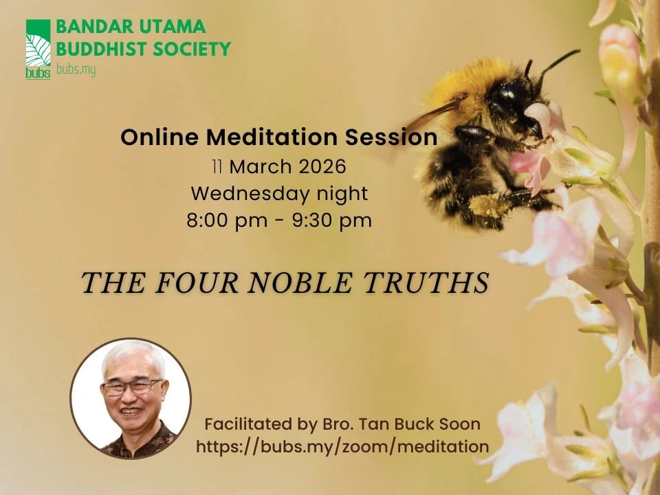 Wed Online Meditation (11Mar2026).jpg