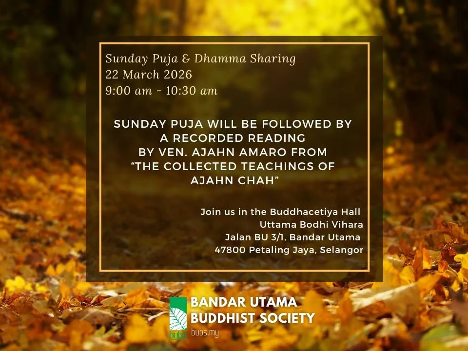 Sunday Dhamma Sharing_Ajahn Amaro (22 March).jpg