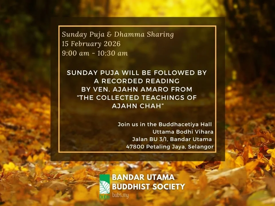 Sunday Dhamma Reading (15022026).jpg