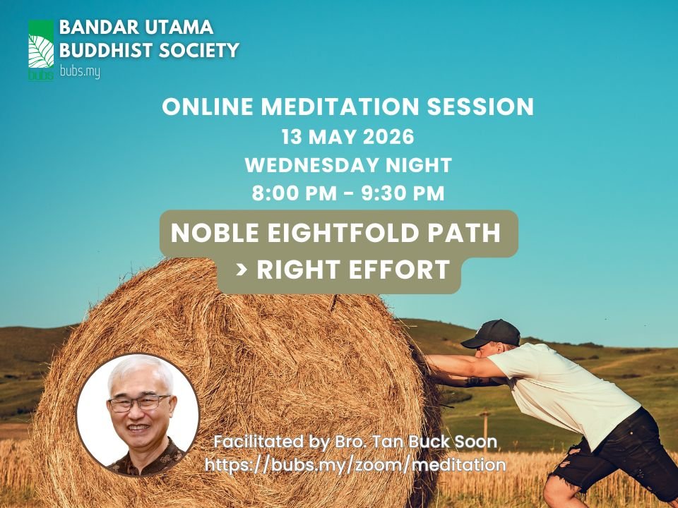 Weekly Online Meditation Poster (13 May).jpg