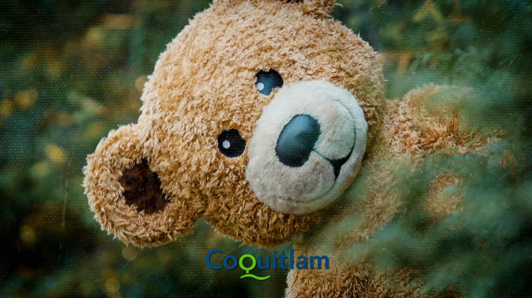 Be Bear Smart | City of Coquitlam