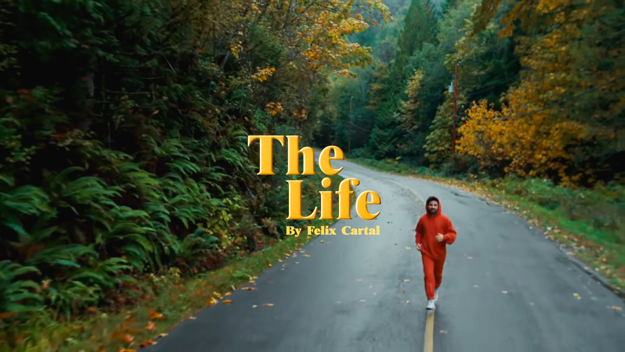 Felix Cartal - The Life