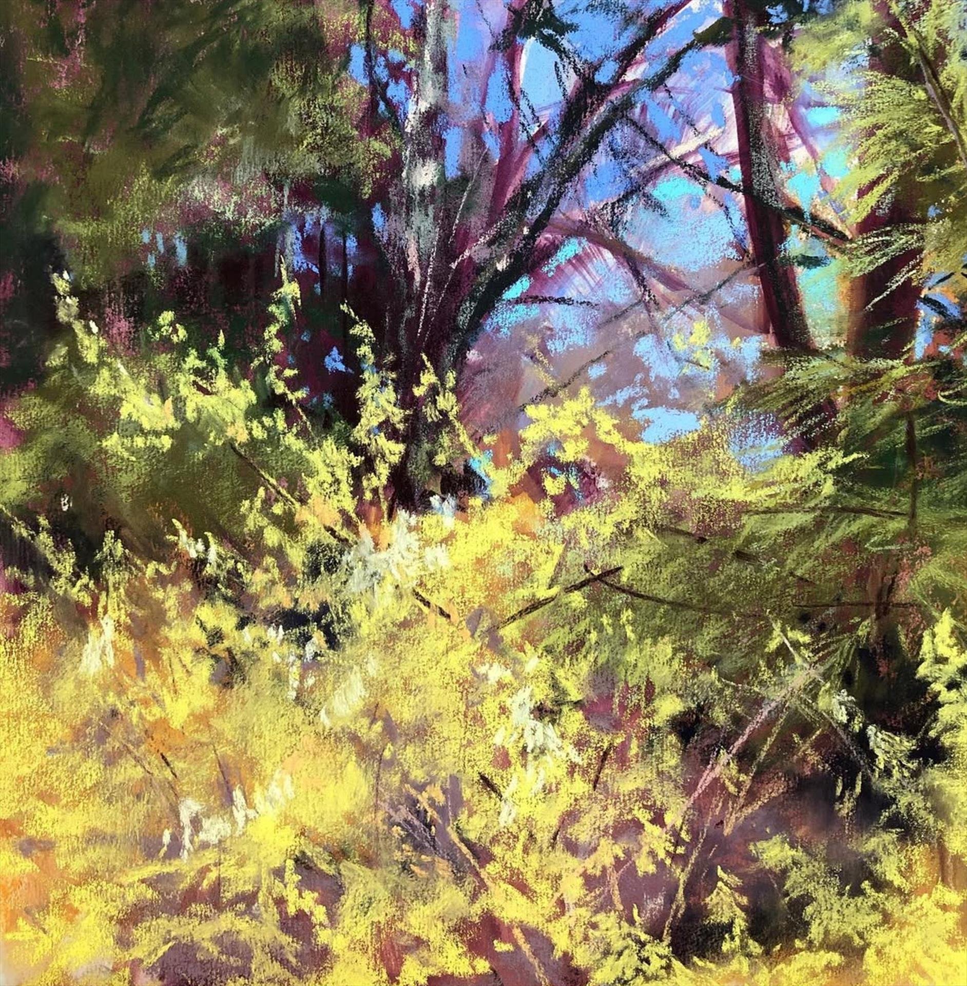 Cynthia Crimmin, Pure Joy