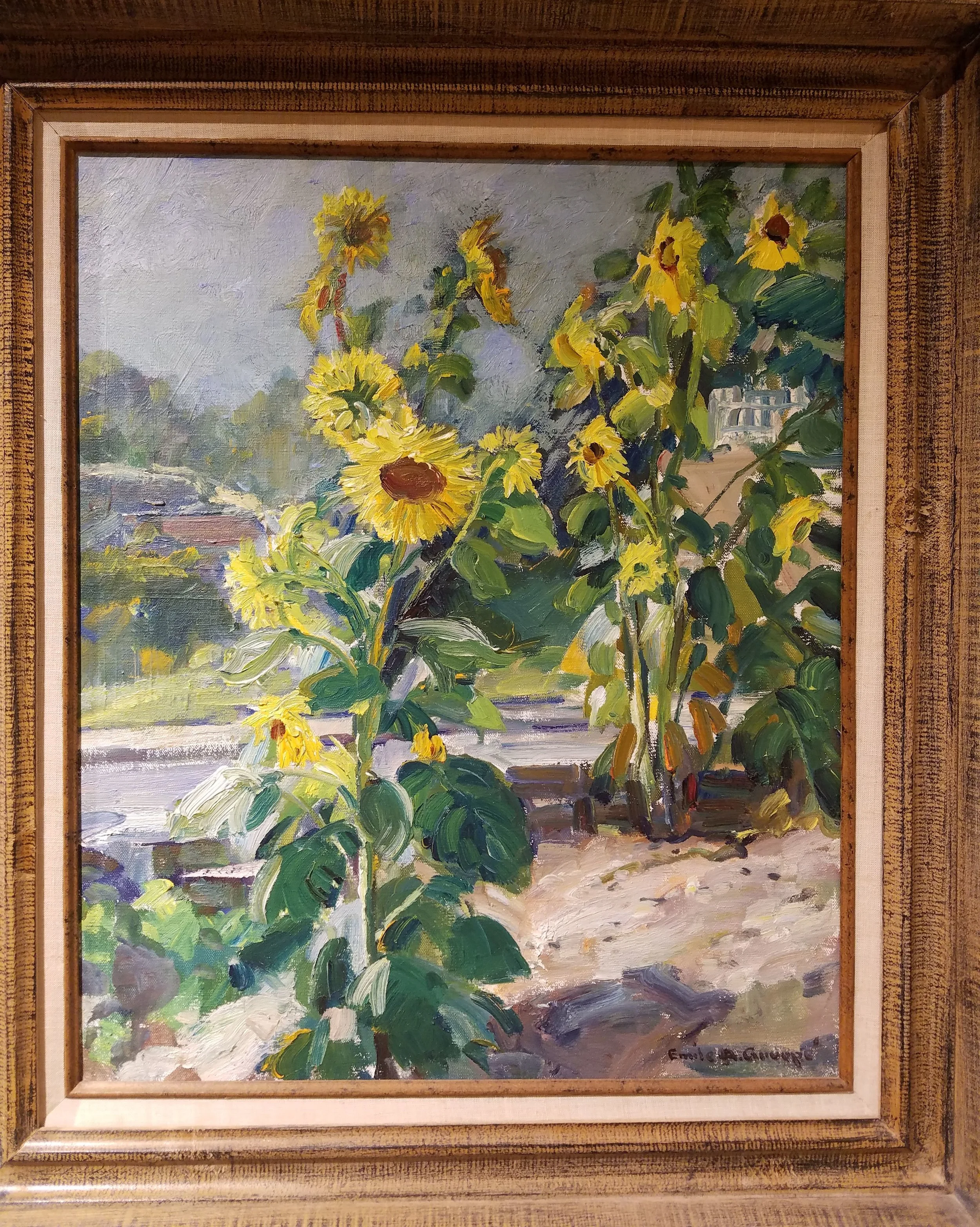 My Sunflowers