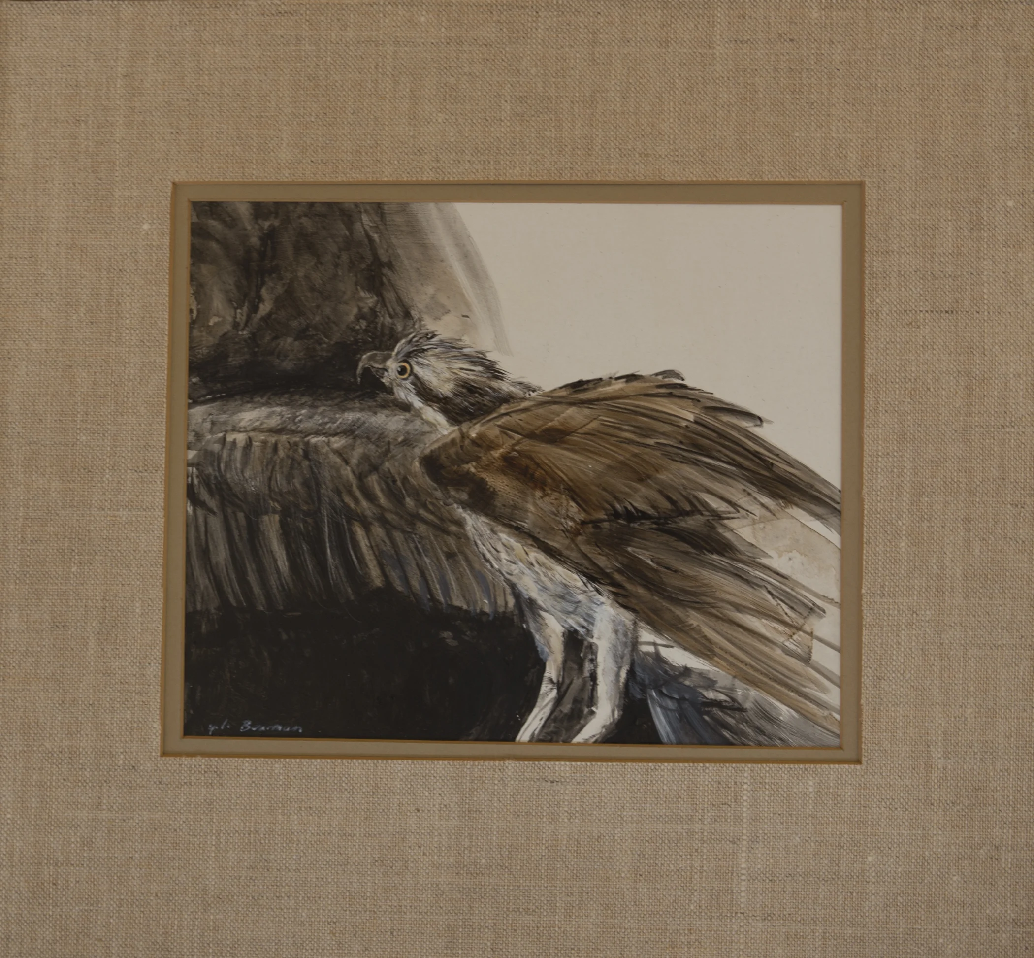 Study of Osprey