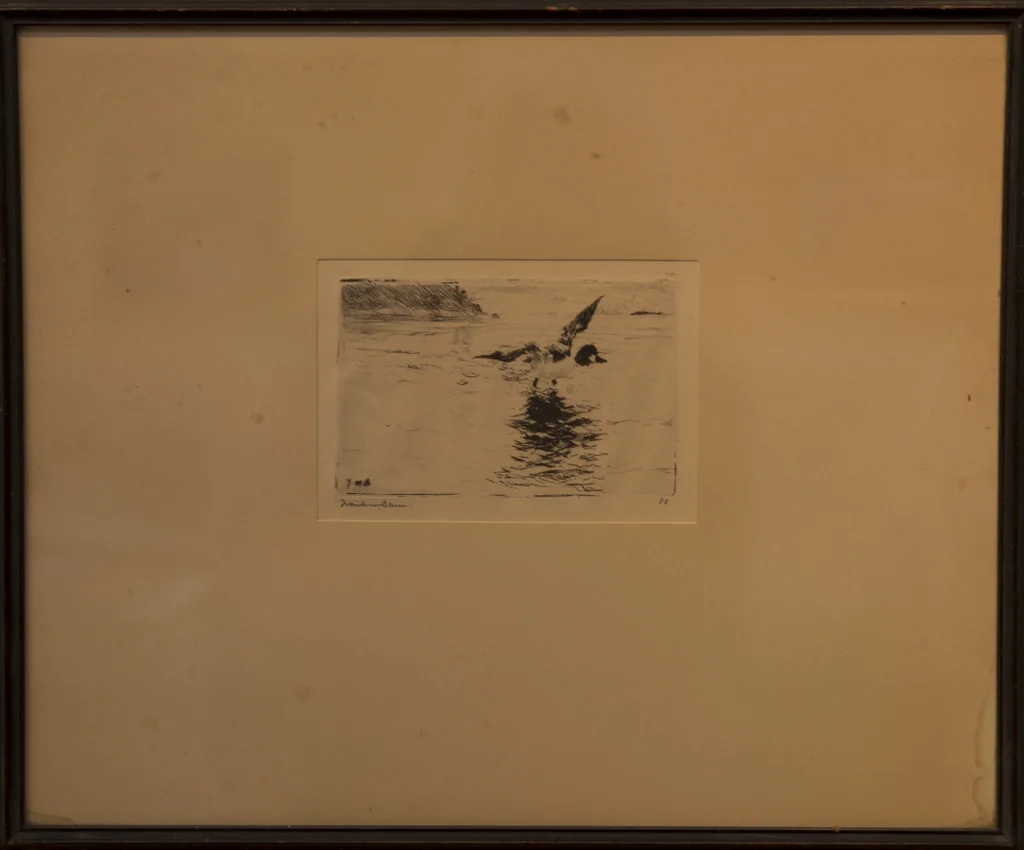 Lot # 53 : Loon