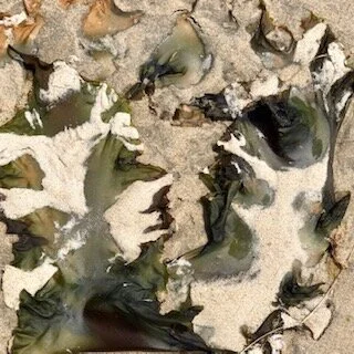 Dale Blank – "Camo"