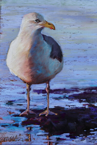 Susan Ellis , I'm Watching you! Pastel, 7.5 x 11.5 in. $500