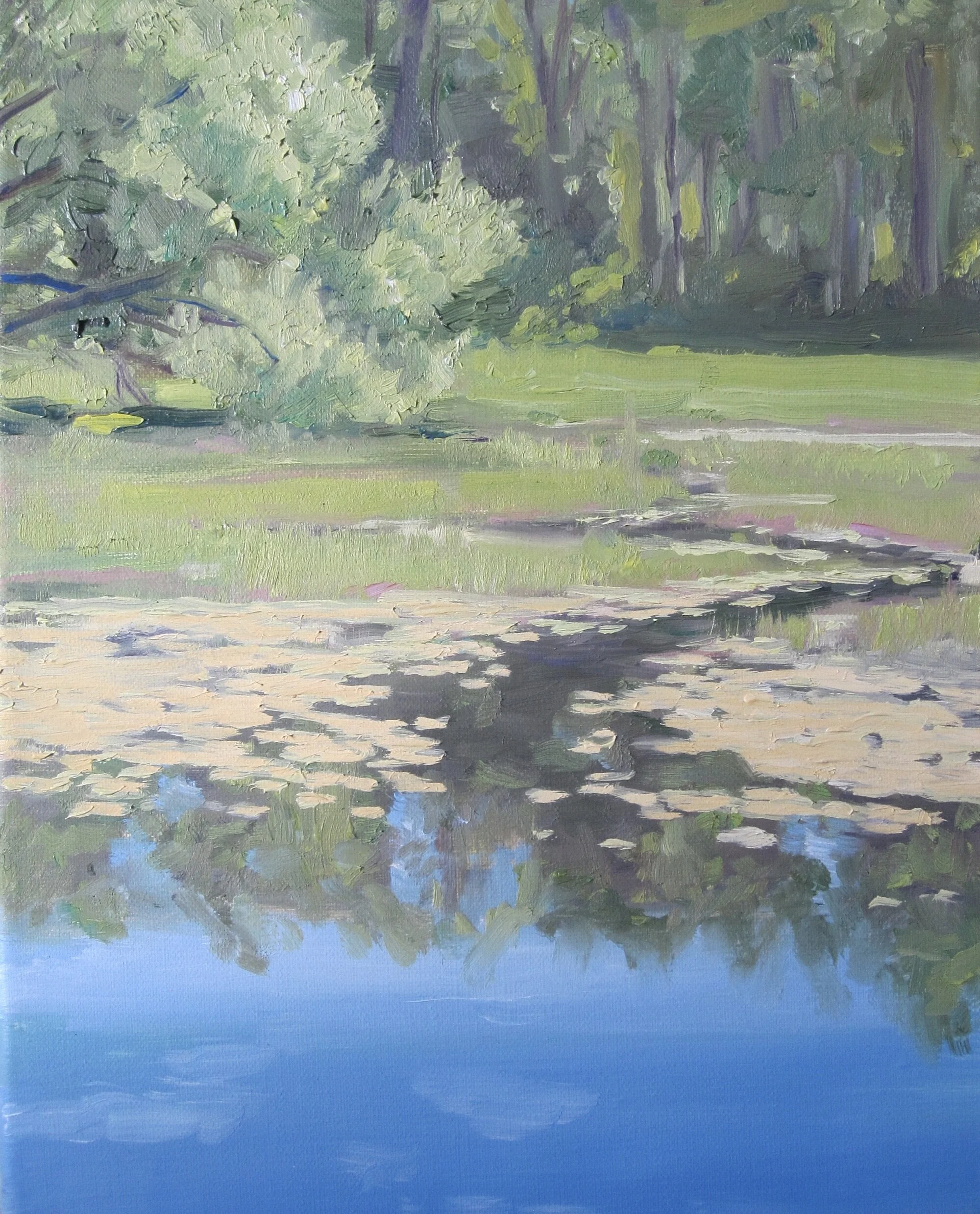 Hilary Baldwin , Lilly Pond June oil, 8 x 10 in. $395