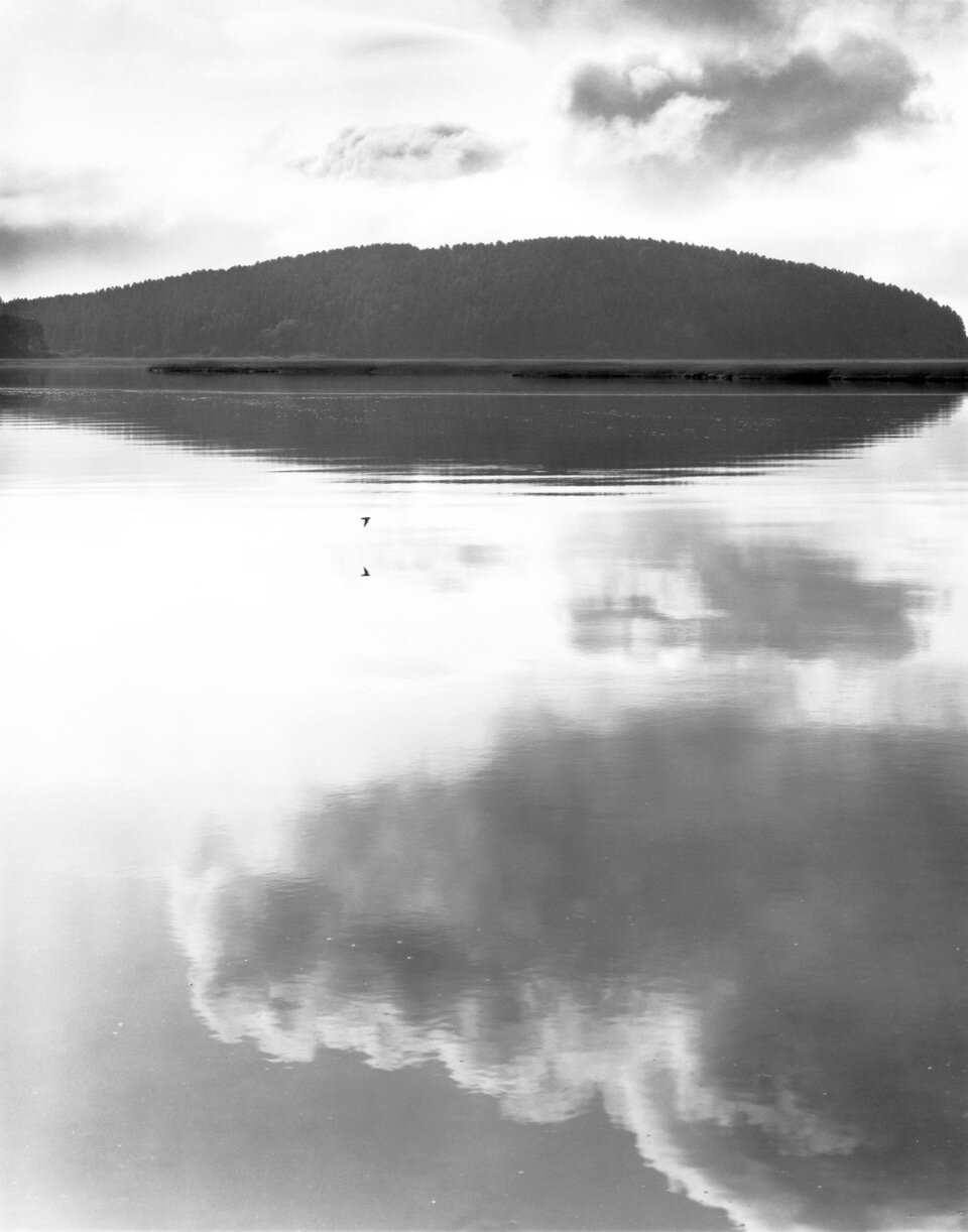 Dorothy Monnelly, Spring Tide and Swallow silver gelatin print, 14 x 11 in. $850