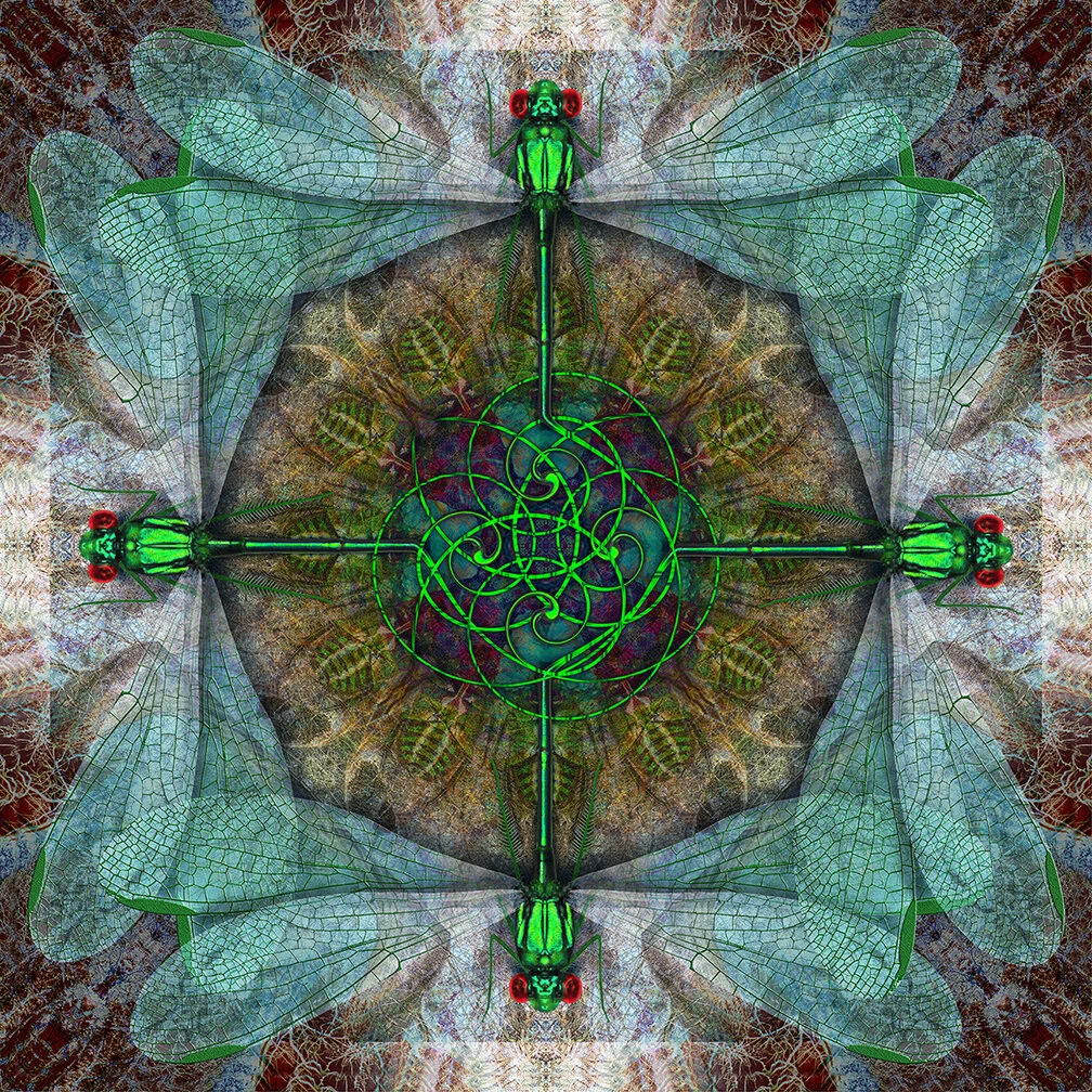 Thomas Philbrook , Book of Kells digital, 19 x 19 in. $200
